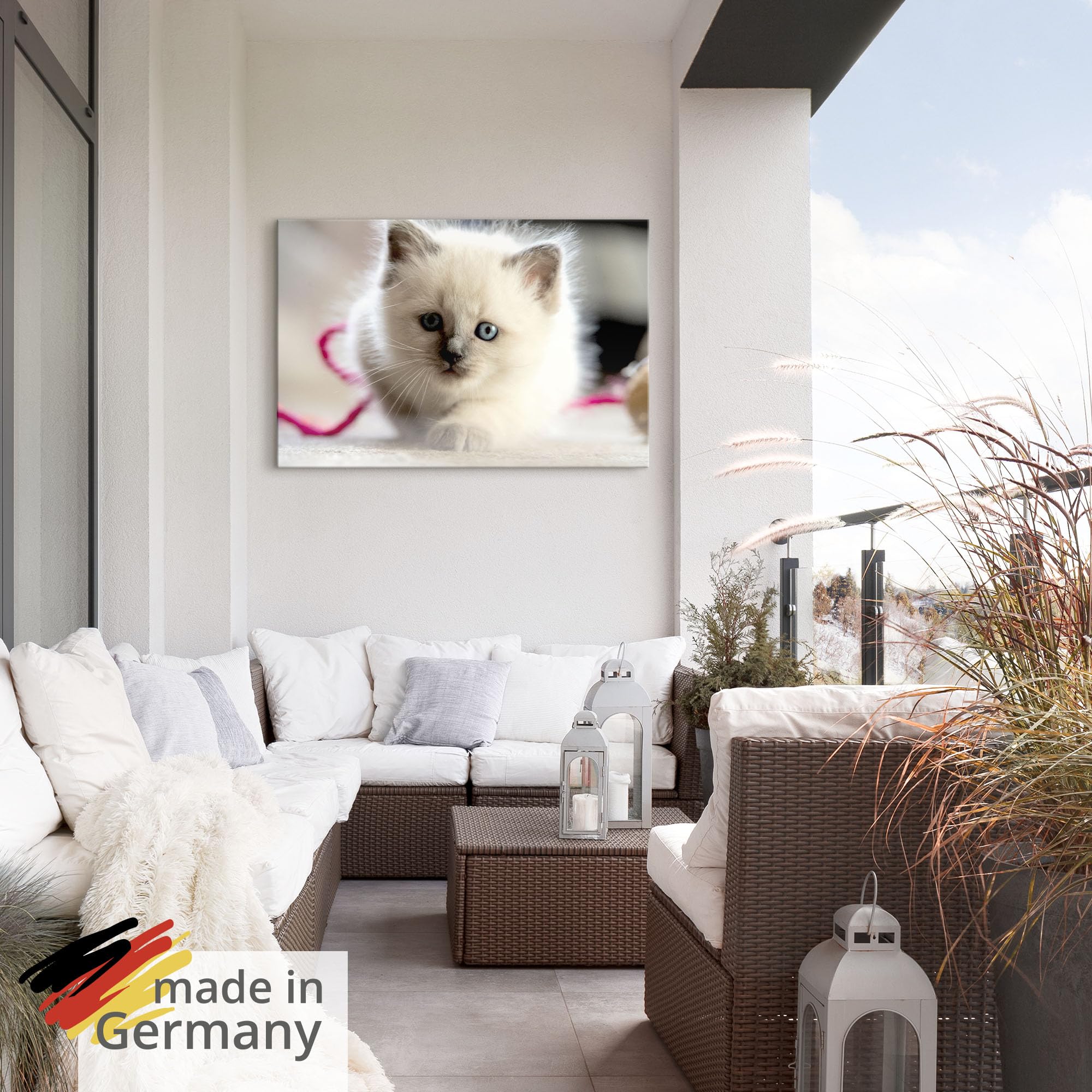 artland-birma-katze-alubild-60x40-cm-u2kl-wetterfest image 5