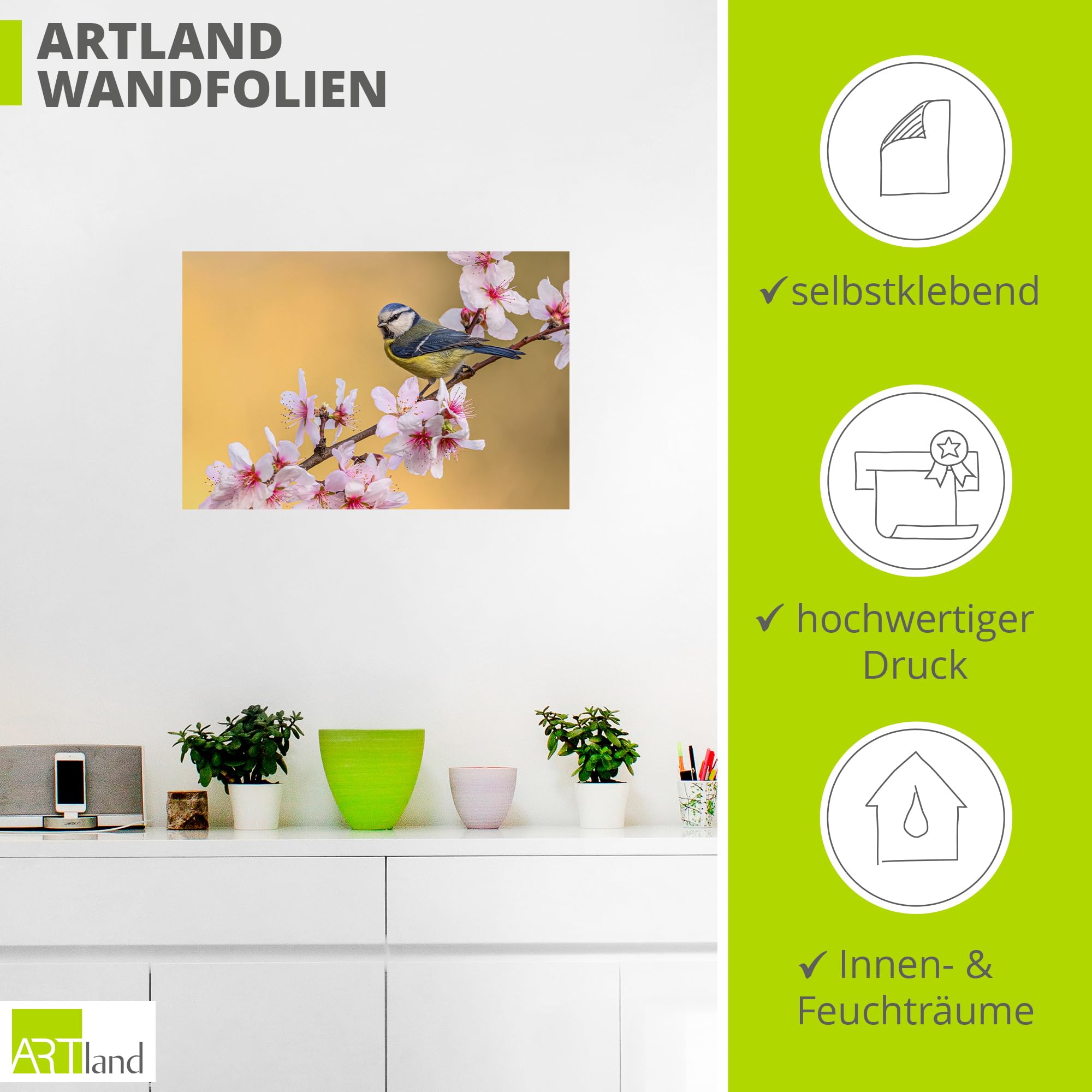 artland-wandaufkleber-blaumeise-wandtattoo-40x60-cm-matt image 3