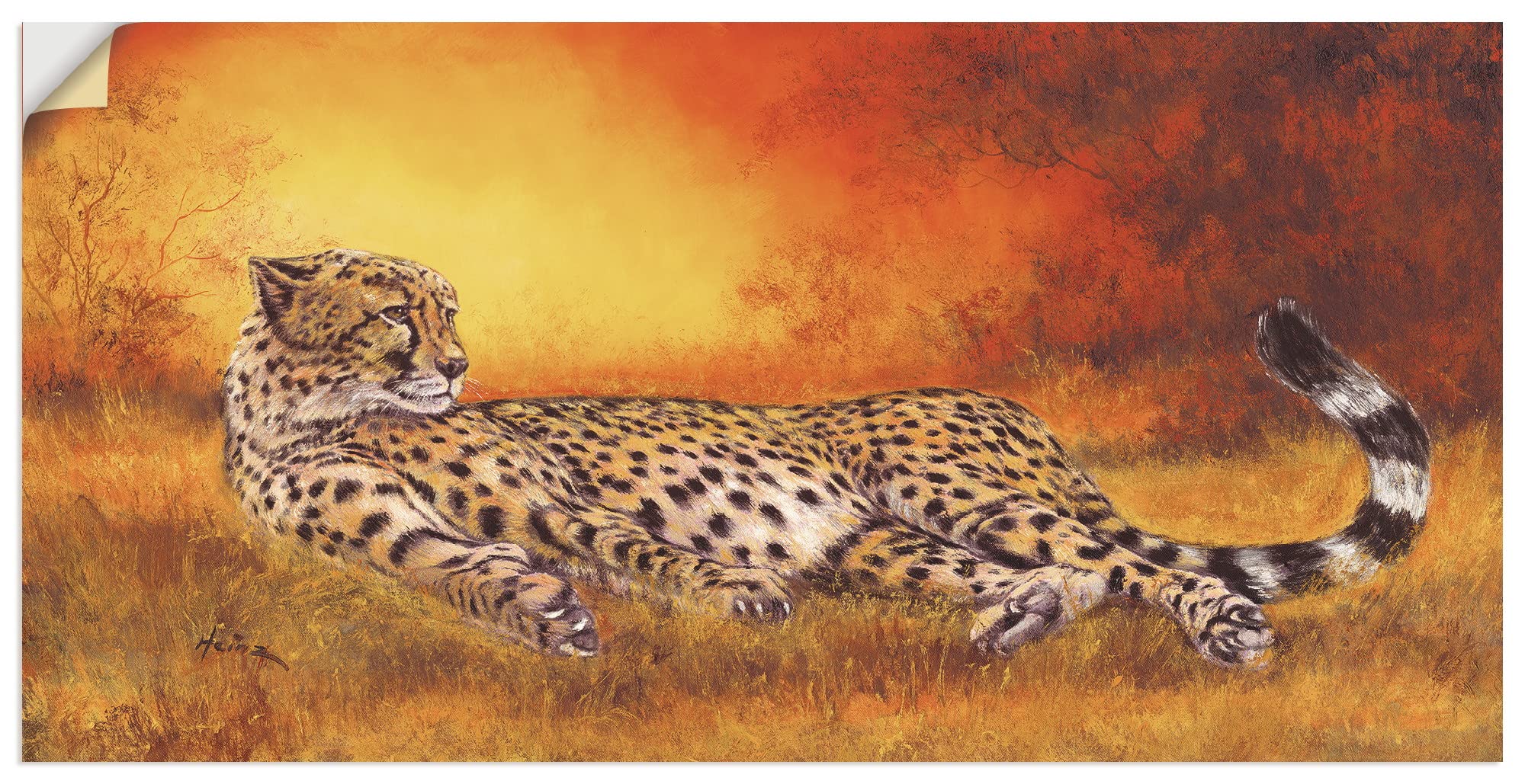 artland-wandaufkleber-gepard-liegend-60x30-cm image 1