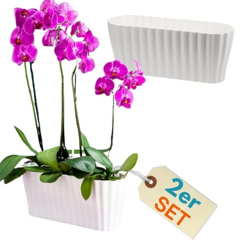garpet-garten-orchideentopf-wei-2er-set-gro-kunststoff-innen image 7
