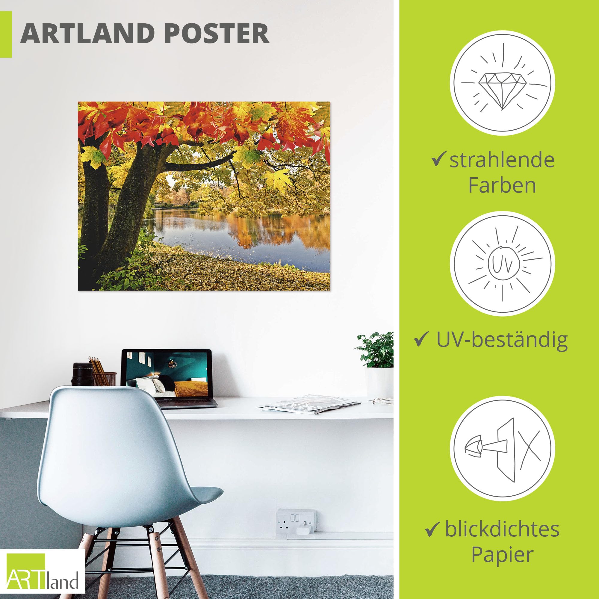 artland-kunstdrucke-poster-80x60-cm-herbstwald-mit-boot-t4sf image 3
