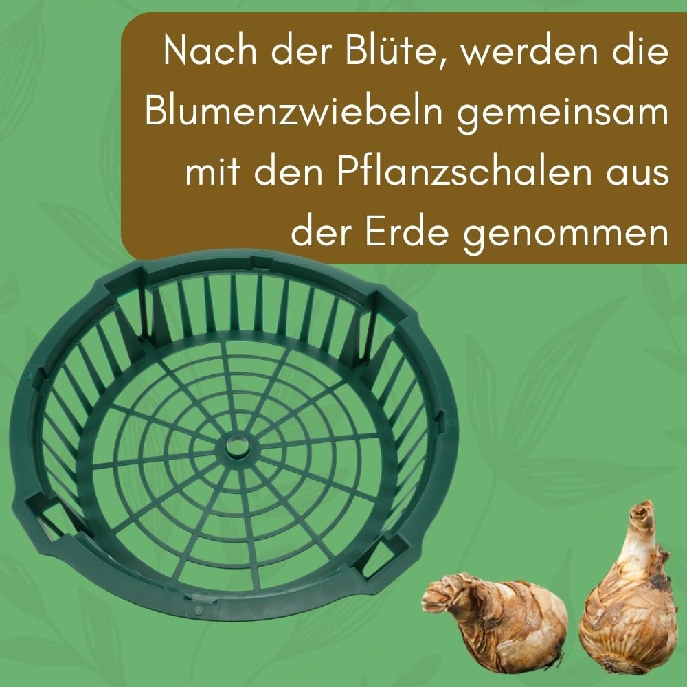 garpet-garten-blumenzwiebelkorb-12er-set-w-hlmauskorb image 5