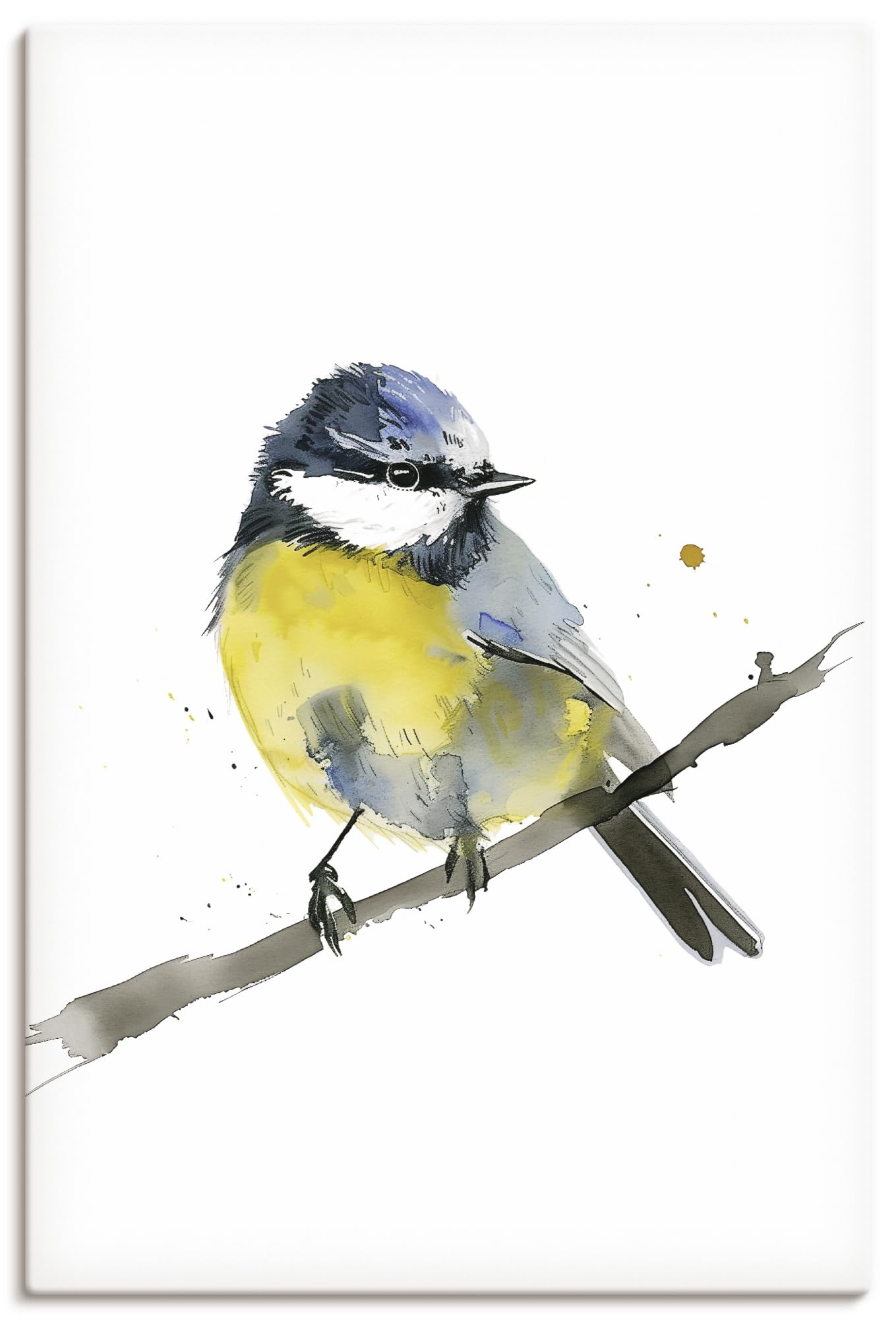 artland-leinwandbilder-eisvogel-leinwandbild-45x60-cm-bunt image 5