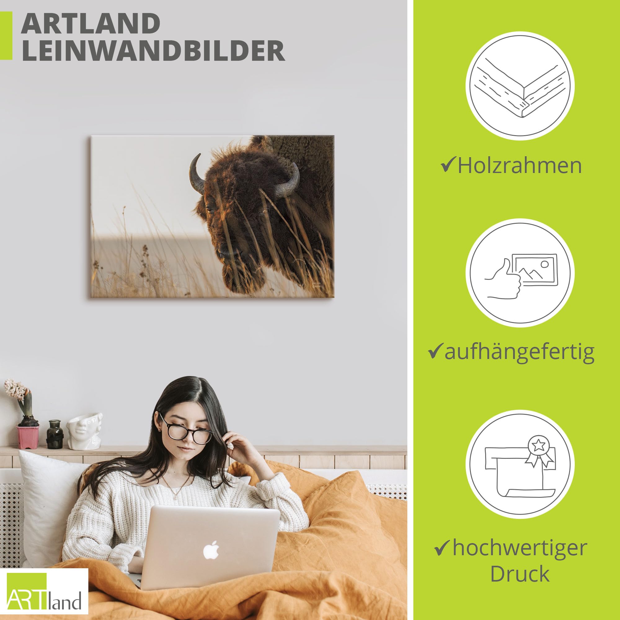 artland-leinwandbilder-bison-meditation-leinwandbild-30-x-30-cm image 3