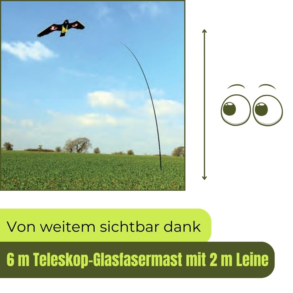 garpet-garten-vogelscheuche-drachen-falke-6-meter image 5