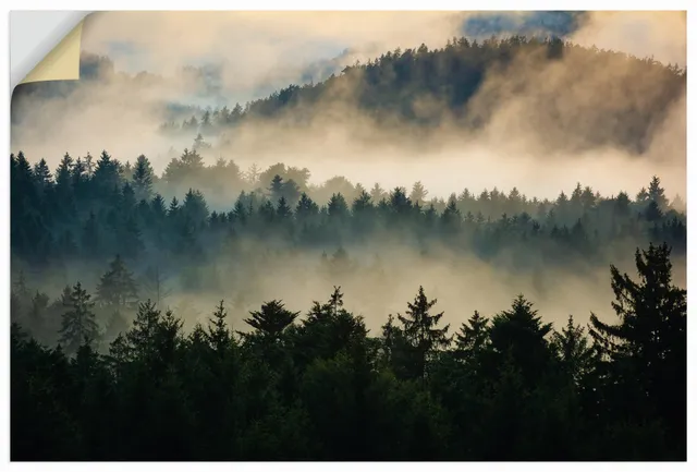 artland-wandaufkleber-wald-nebel-120x80-cm-wandtattoo-vinyl image 1