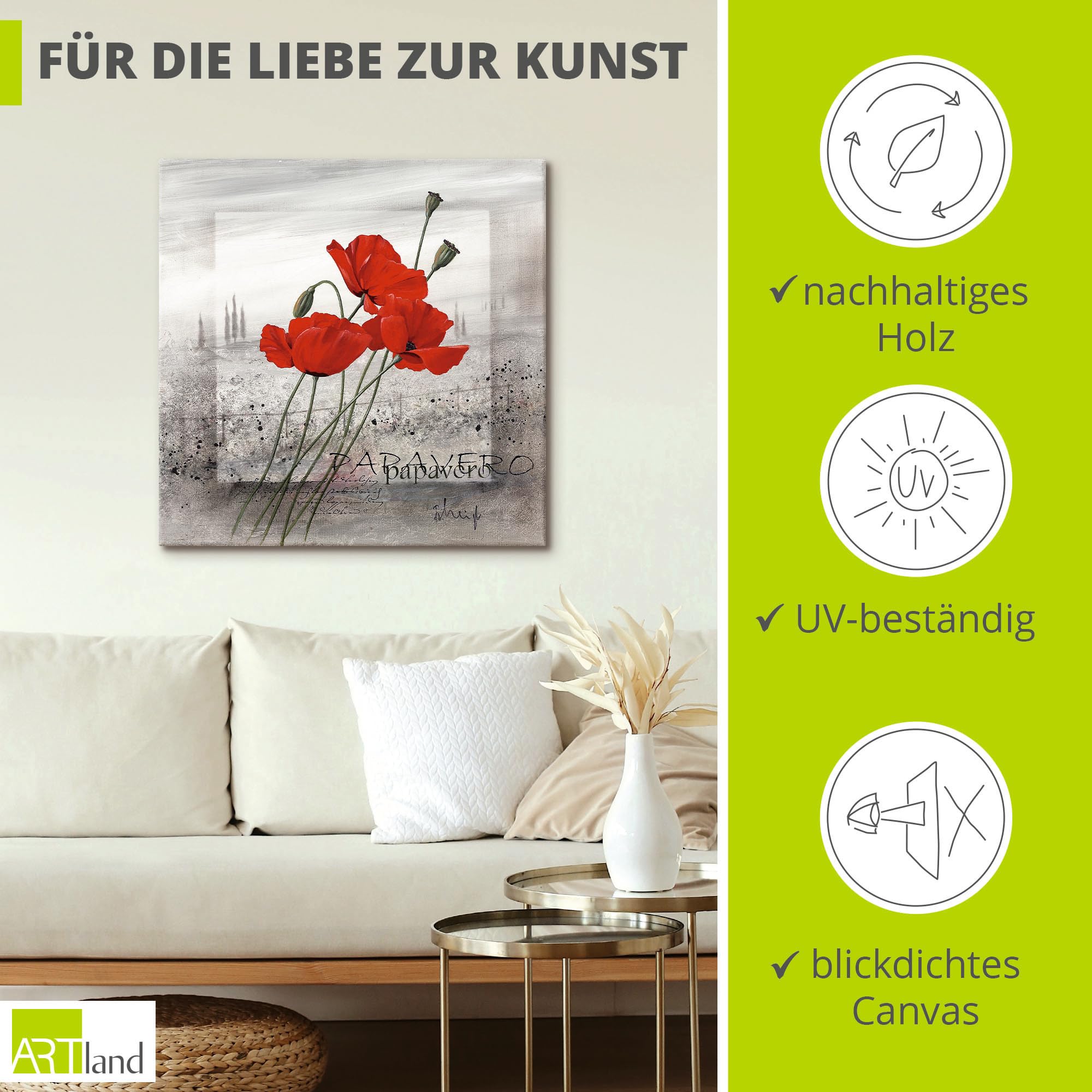 artland-leinwandbilder-mohnblumen-am-morgen-leinwandbild-40x40-rote-mohnblumen image 2