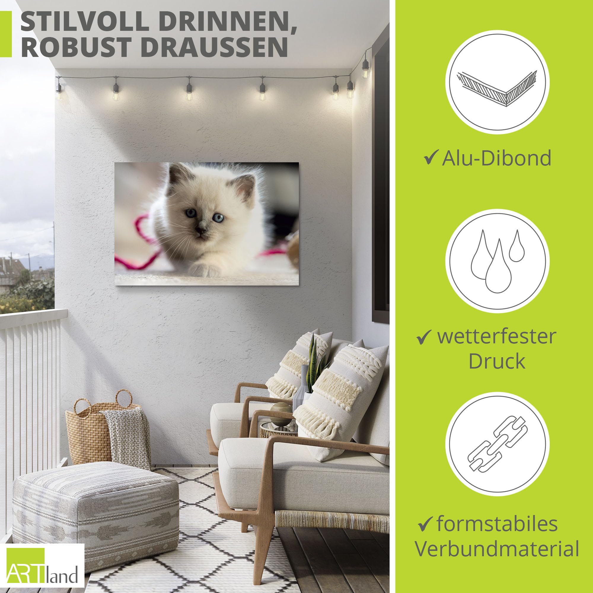 artland-birma-katze-alubild-60x40-cm-u2kl-wetterfest image 2