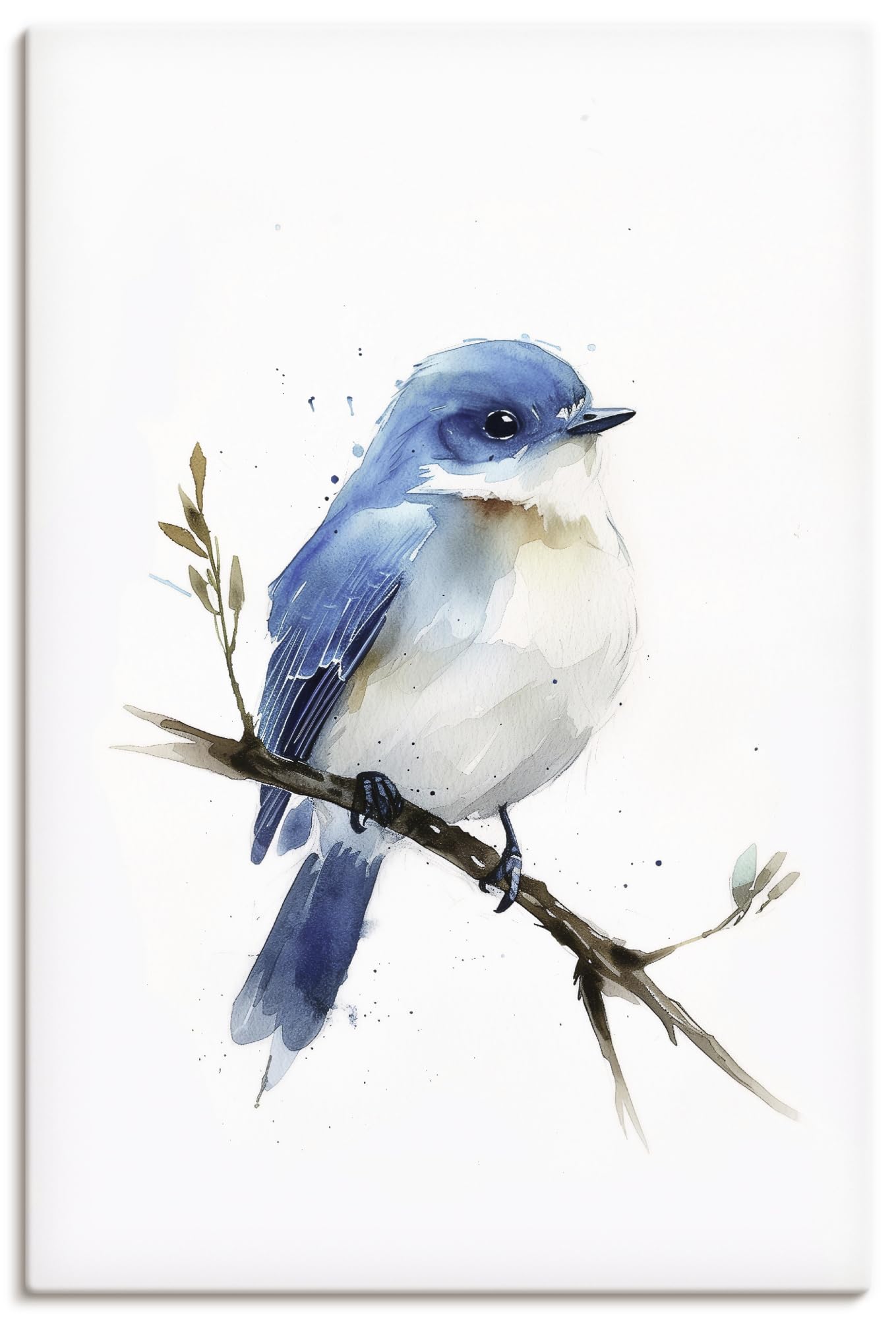 artland-leinwandbilder-eisvogel-leinwandbild-45x60-cm-bunt image 4