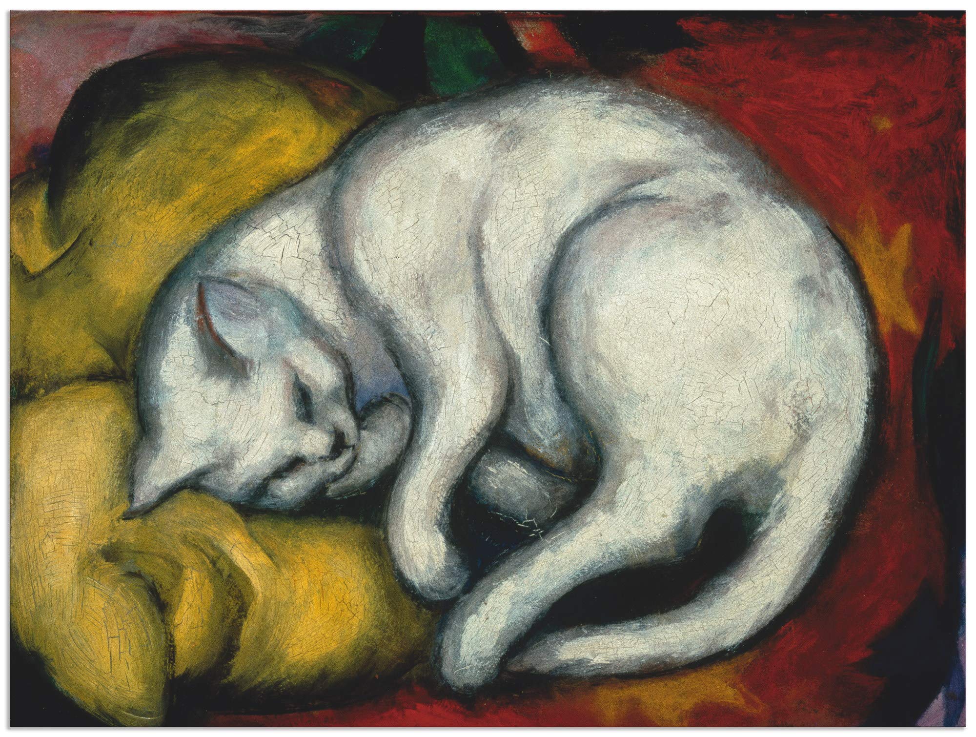 artland-birma-katze-alubild-60x40-cm-u2kl-wetterfest image 8