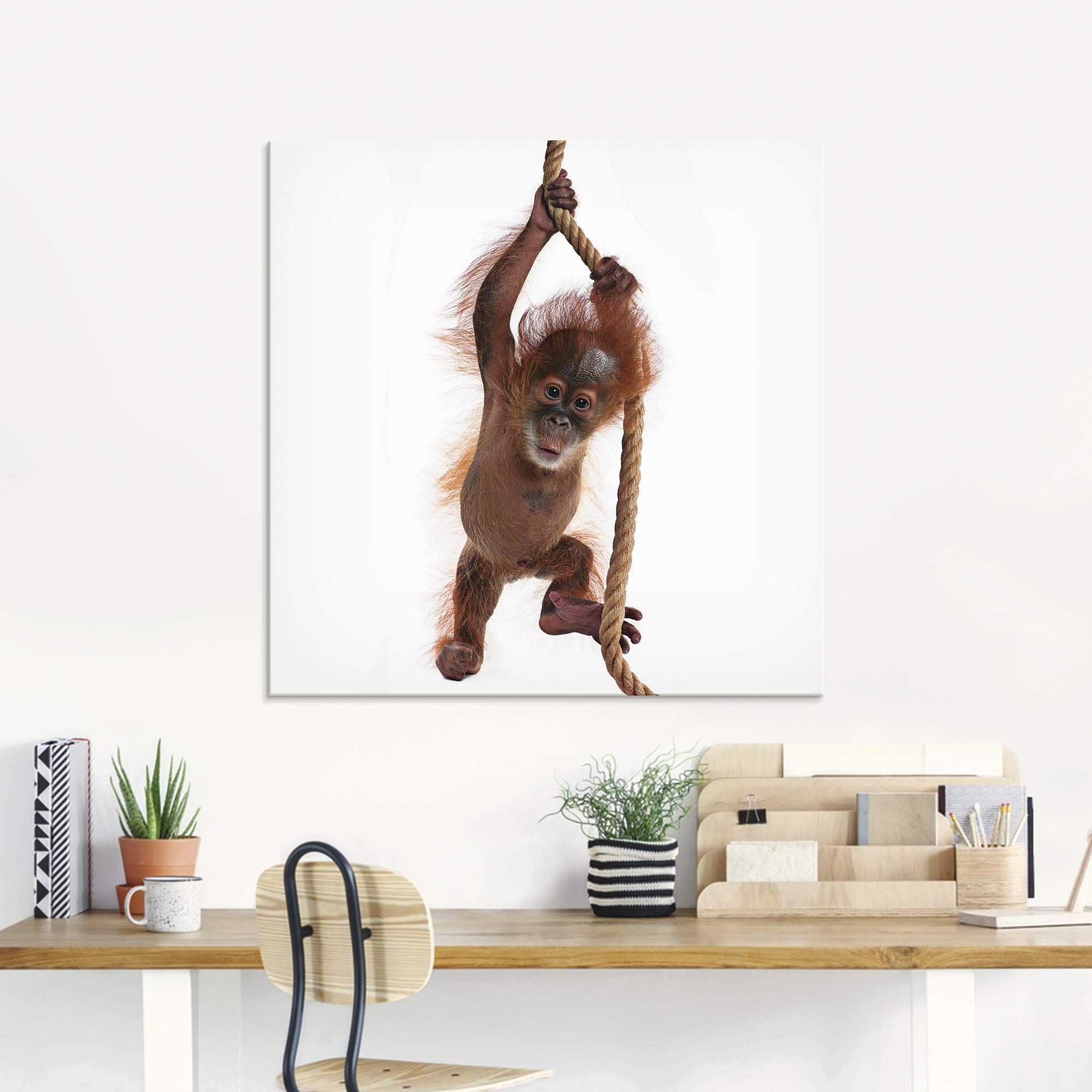 artland-glasbilder-t5ri-glasbild-affe-baby-orang-utan image 7