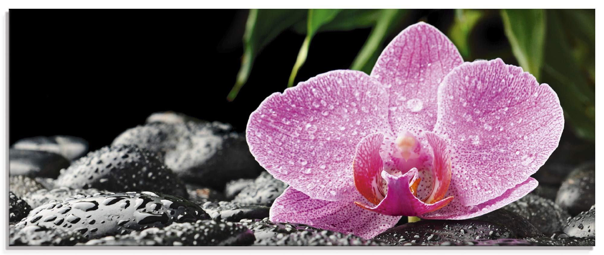 artland-glasbilder-zen-orchideen-glasbild-30x30-rosa image 7