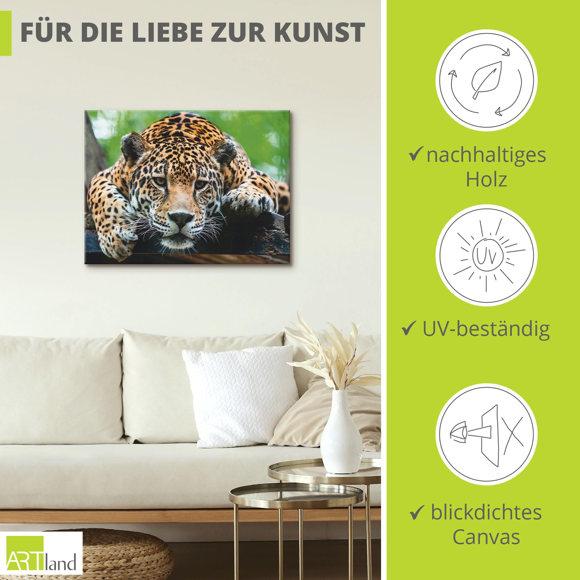 artland-jaguar-leinwandbild-60x45-cm-wildtiere-braun-foto image 2