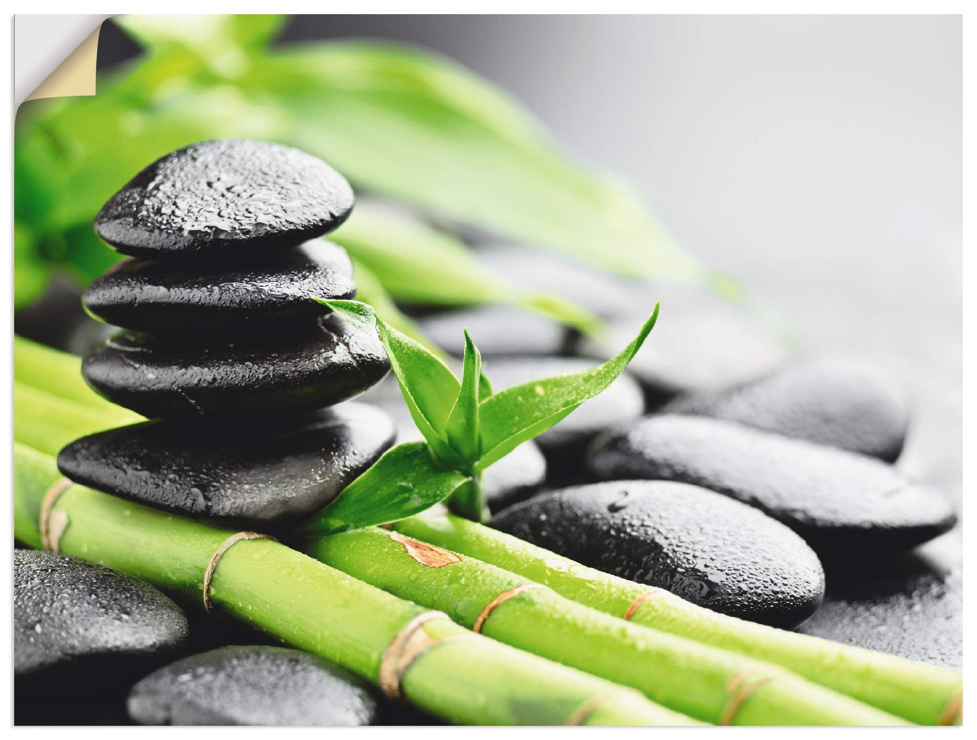 artland-wandaufkleber-asiatische-motive-wandtattoo-vinyl-wellness-zen image 8