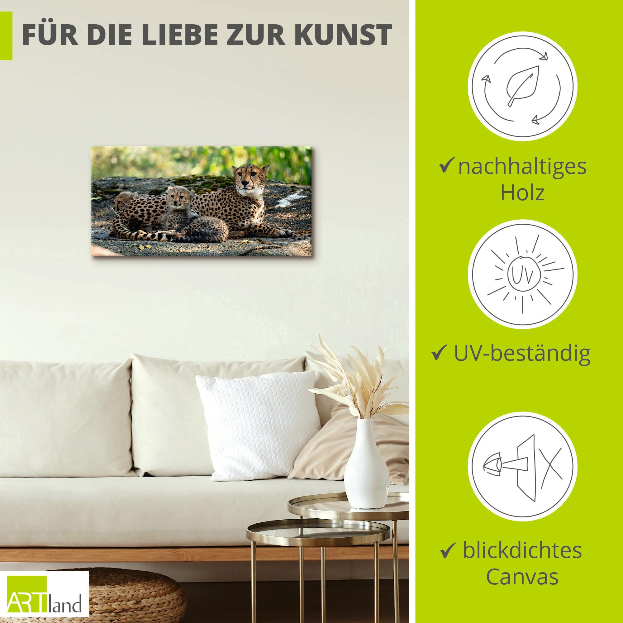 artland-leinwandbilder-s9hy-leinwandbild-60x30-cm-gepard-afrika image 2
