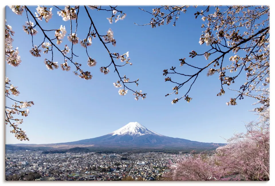 artland-leinwandbilder-fuji-sakura-leinwandbild-120x80-cm image 1