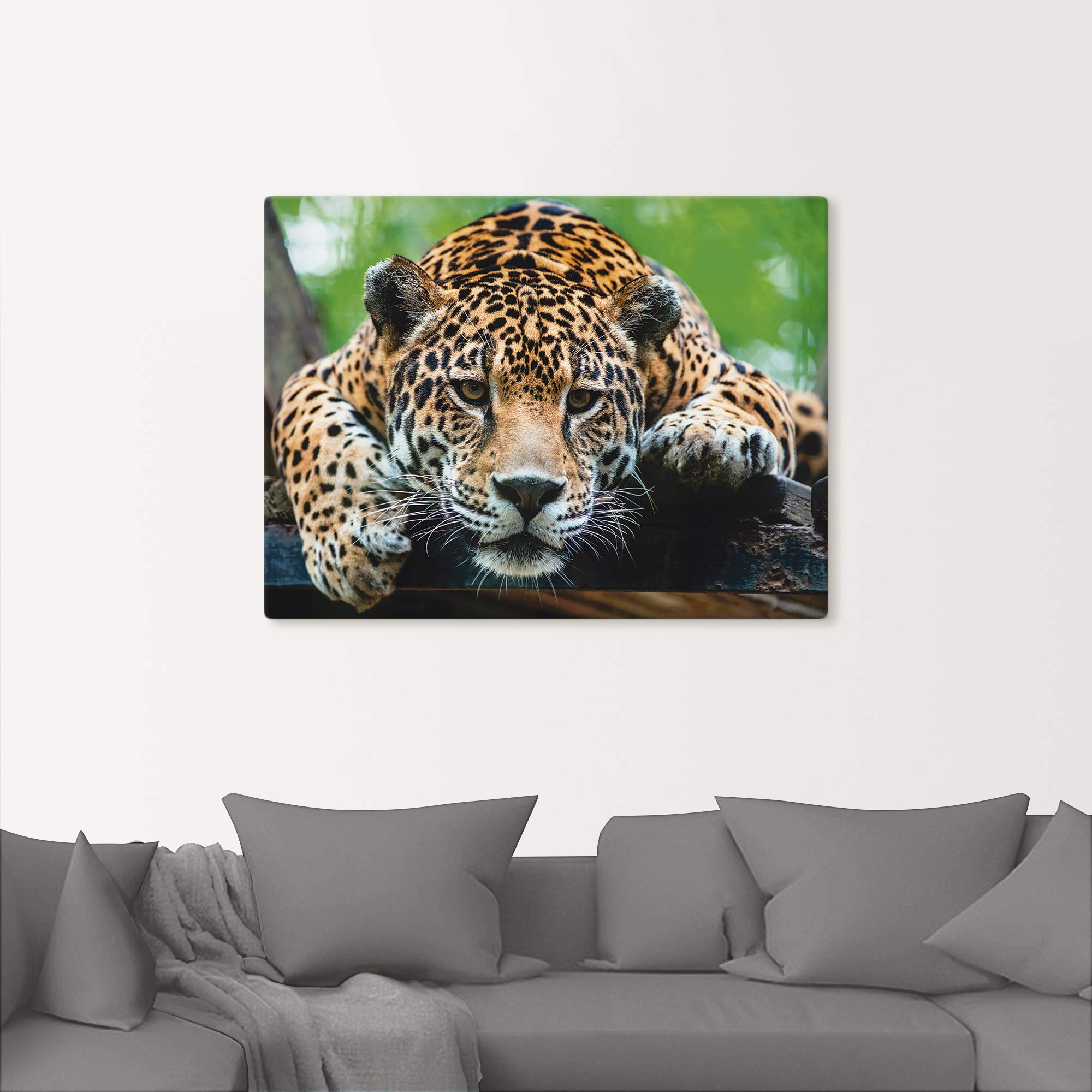 artland-jaguar-leinwandbild-60x45-cm-wildtiere-braun-foto image 8