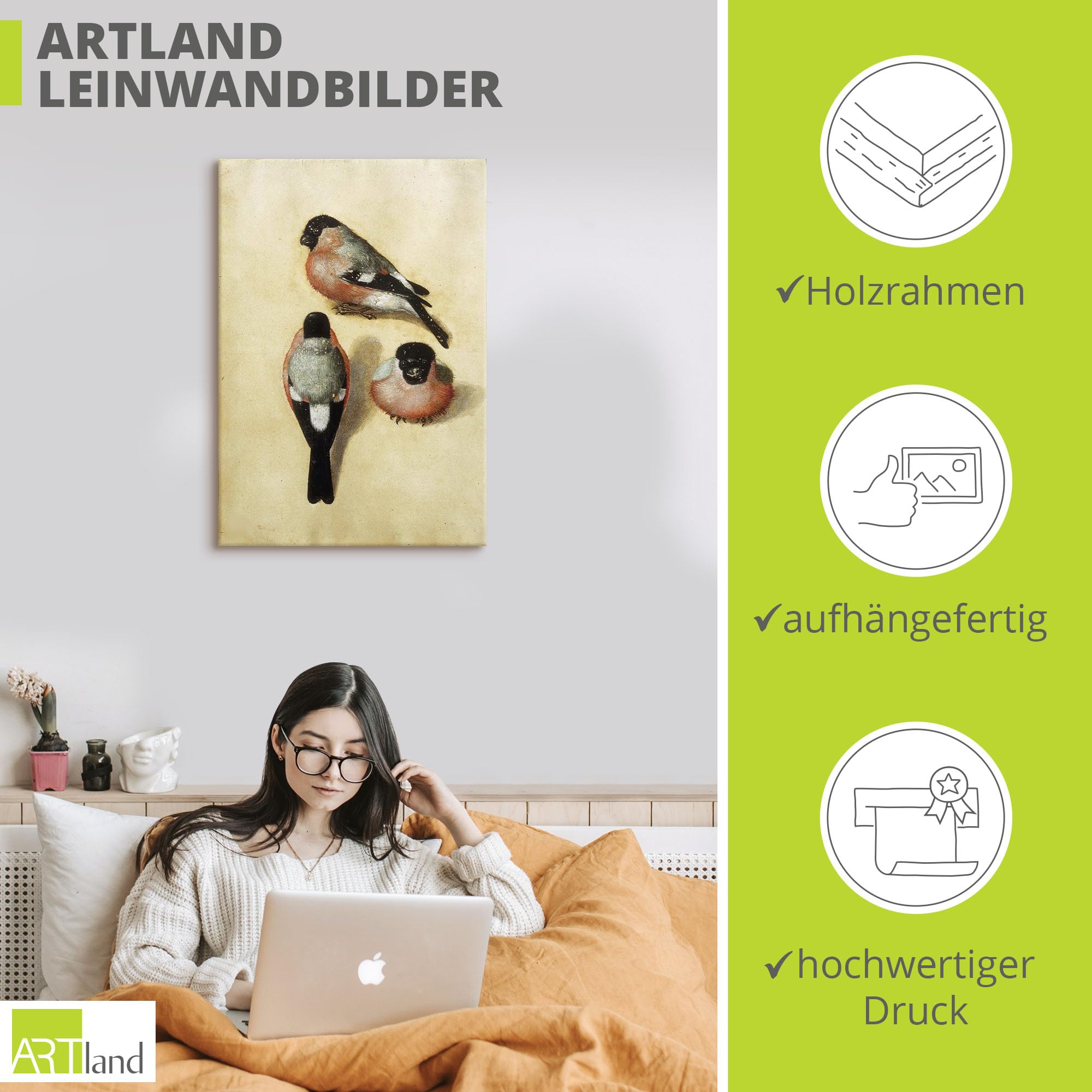 artland-leinwandbilder-gimpel-vogel-leinwandbild-70x50-cm image 3