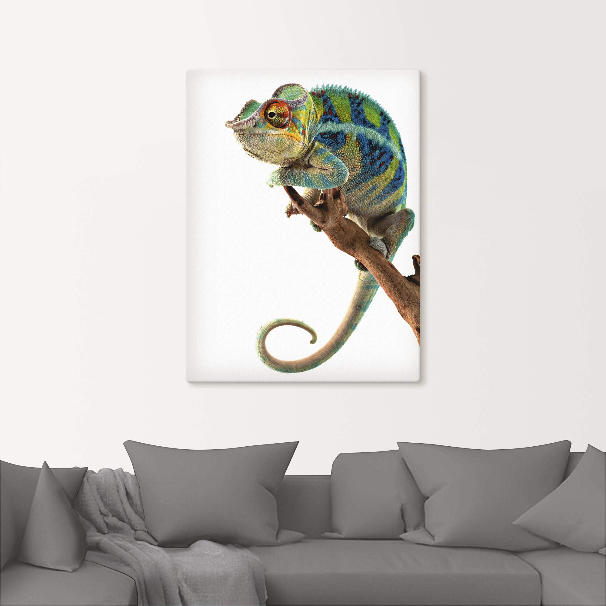 artland-leinwandbild-cham-leon-leinwand-60x45-cm-tiere image 8