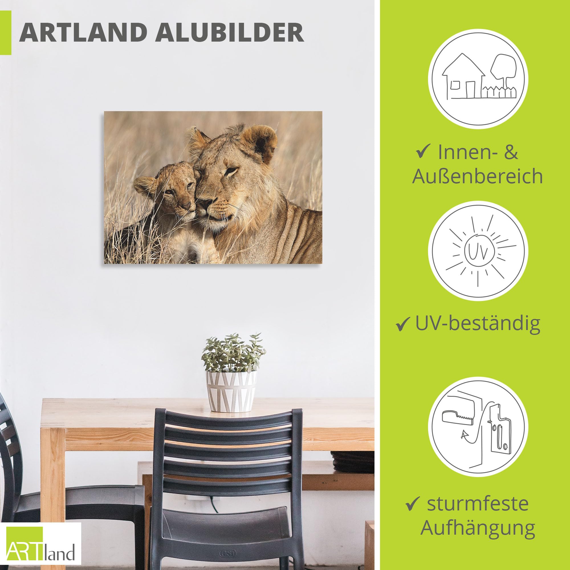 artland-alubilder-t6bp-alubild-100x70-l-wenbruder image 3