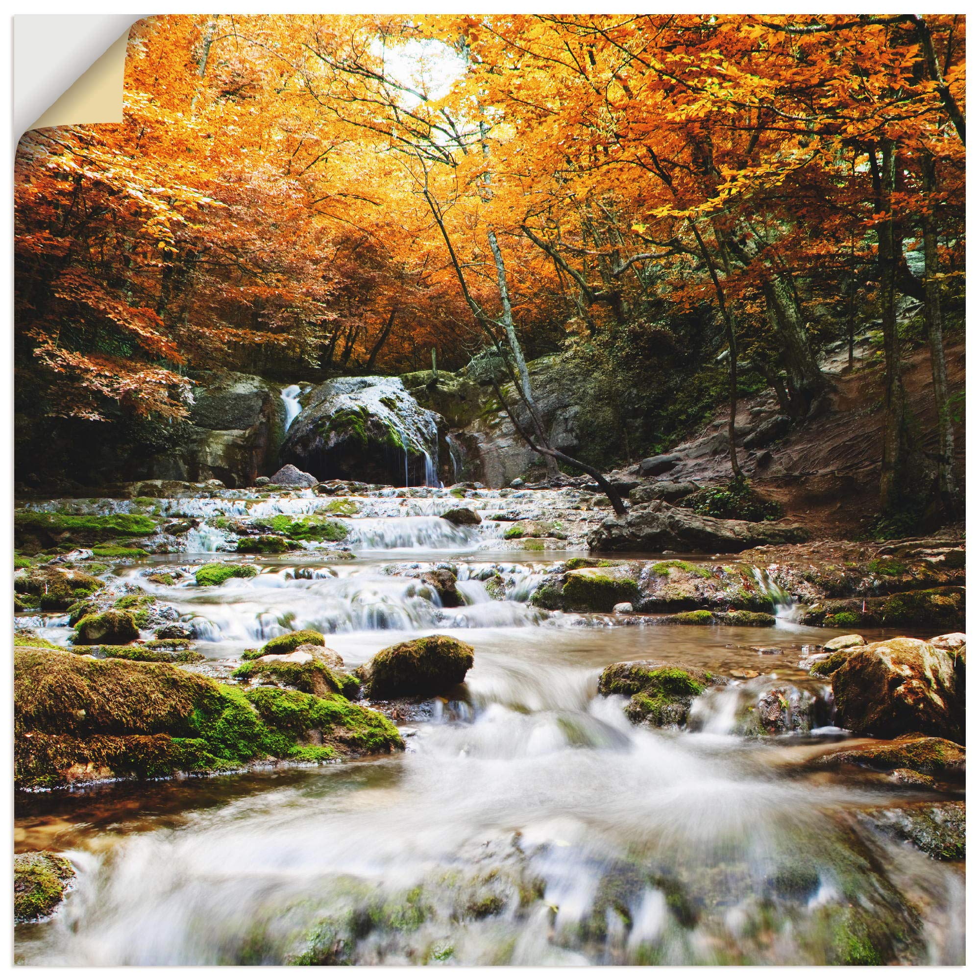 artland-wandaufkleber-t5te-wandtattoo-wald-70x70-cm-vinyl image 1