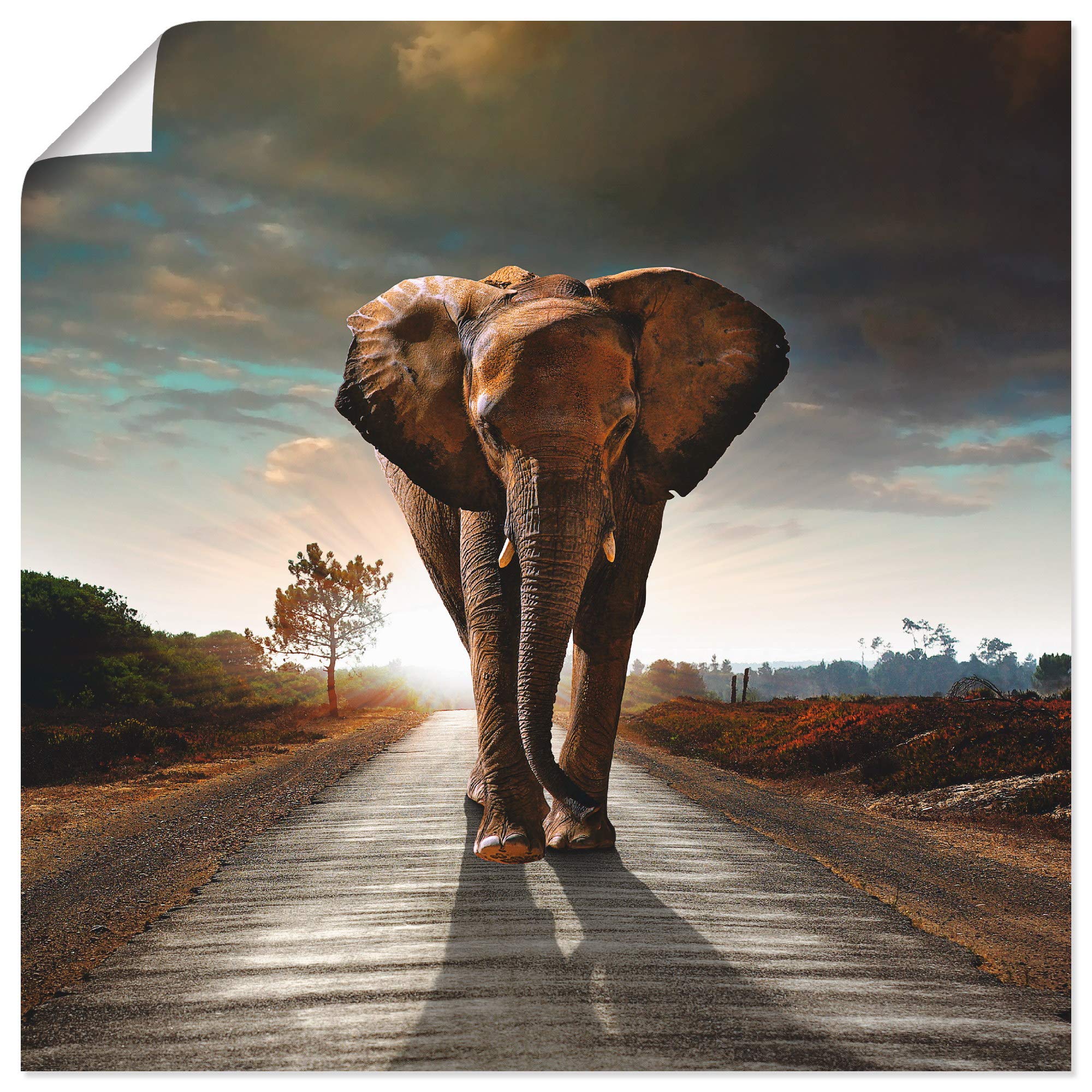 artland-giraffe-poster-90x120-cm-tiermotiv image 8