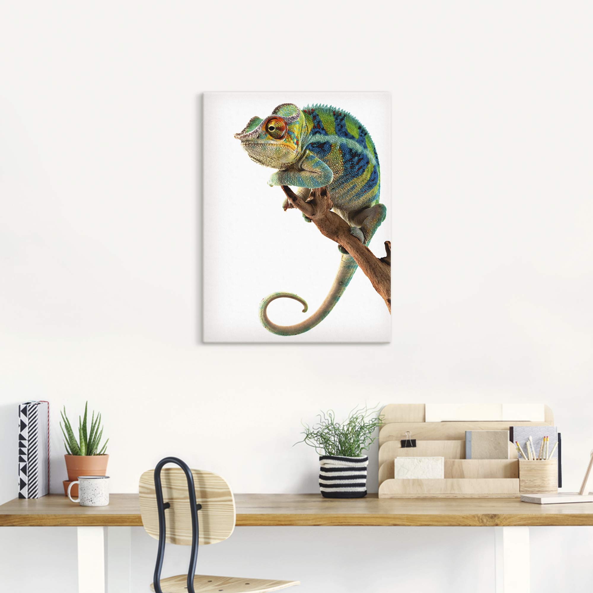 artland-leinwandbild-cham-leon-leinwand-60x45-cm-tiere image 7
