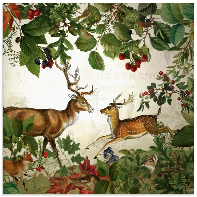 artland-glasbilder-u5gx-glasbild-wald-hirsch-40x40-cm image 1