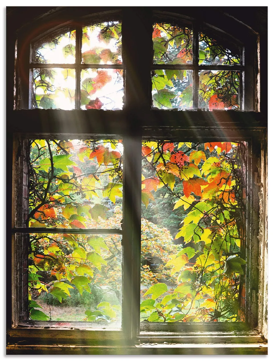 artland-alubilder-t5xh-alubild-60x45-cm-altbau-fensterblick image 1