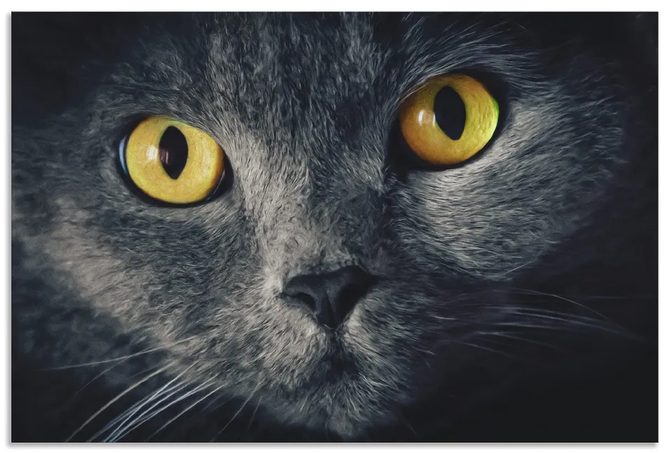 artland-alubilder-d3zu-bild-katzenaugen-30x20cm-outdoor image 1