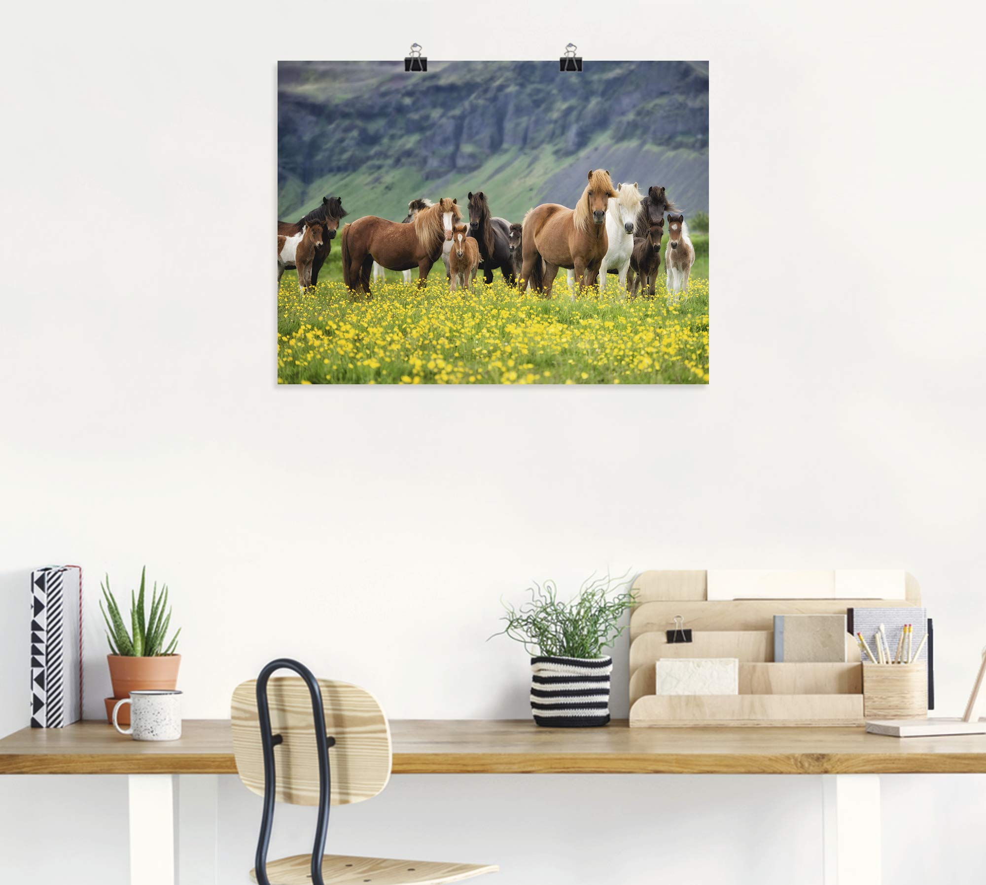 artland-kunstdrucke-t1sl-poster-80x60-cm-pferde-island image 7