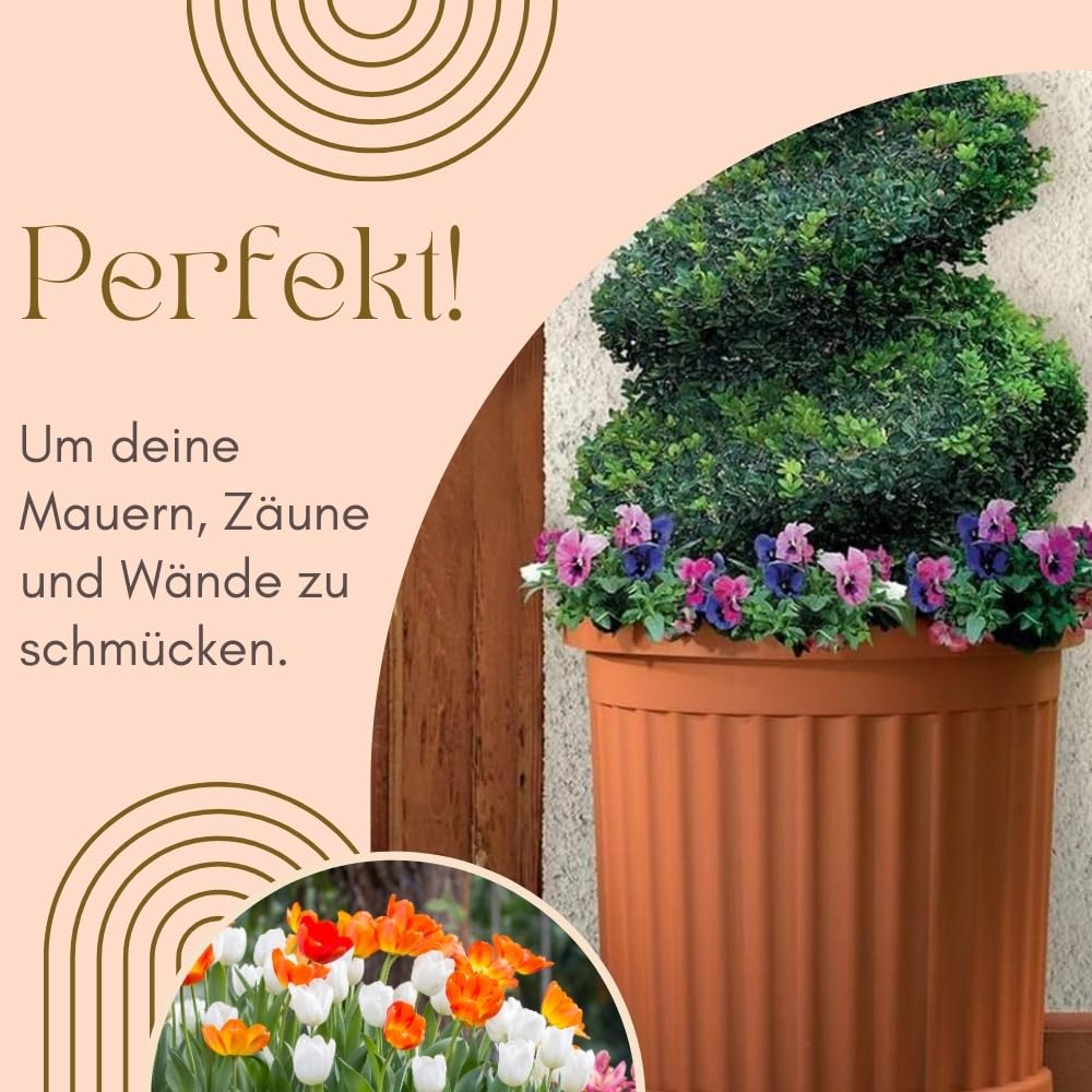 garpet-pflanzk-bel-halbrund-terracotta-50-cm-35-l image 3