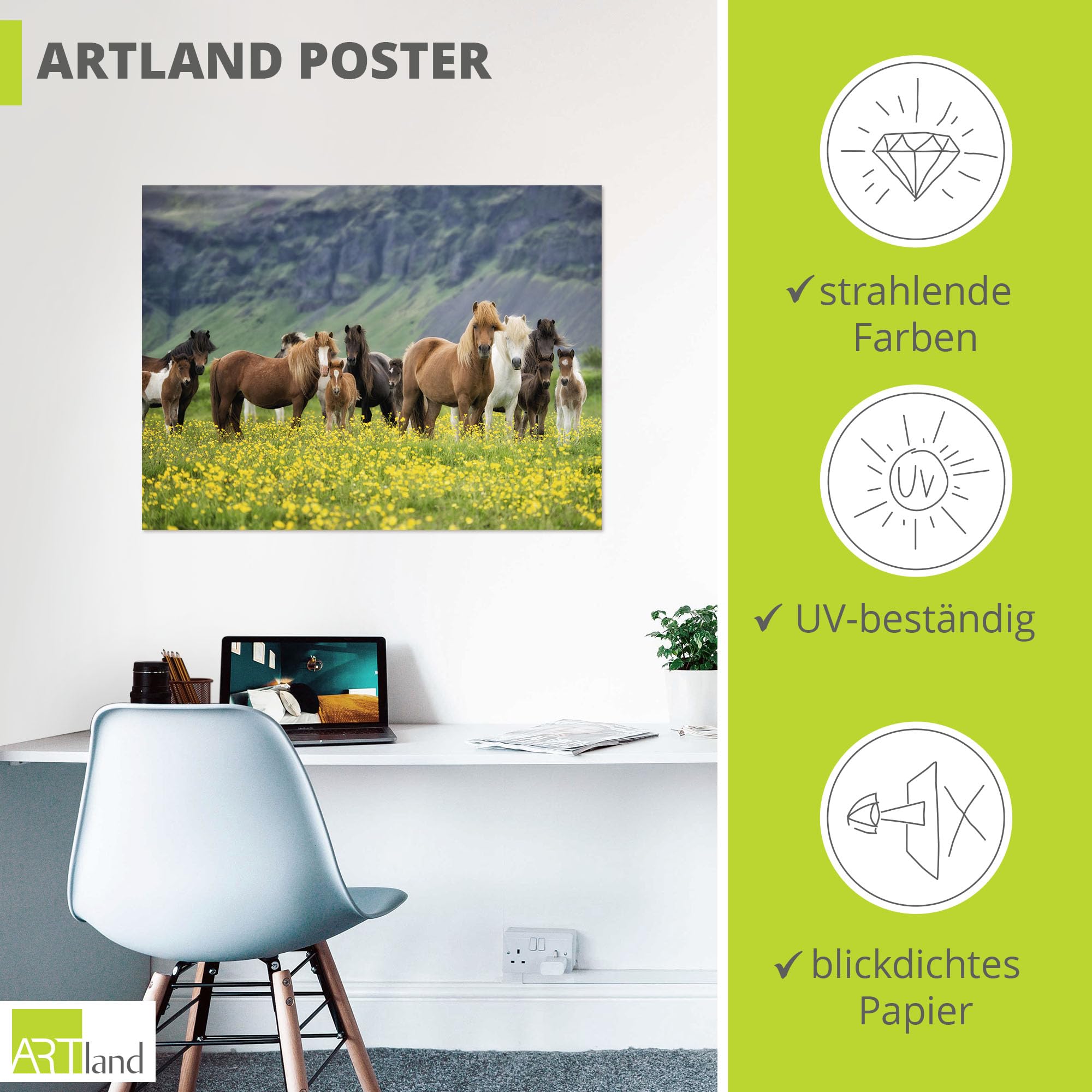 artland-kunstdrucke-t1sl-poster-80x60-cm-pferde-island image 3