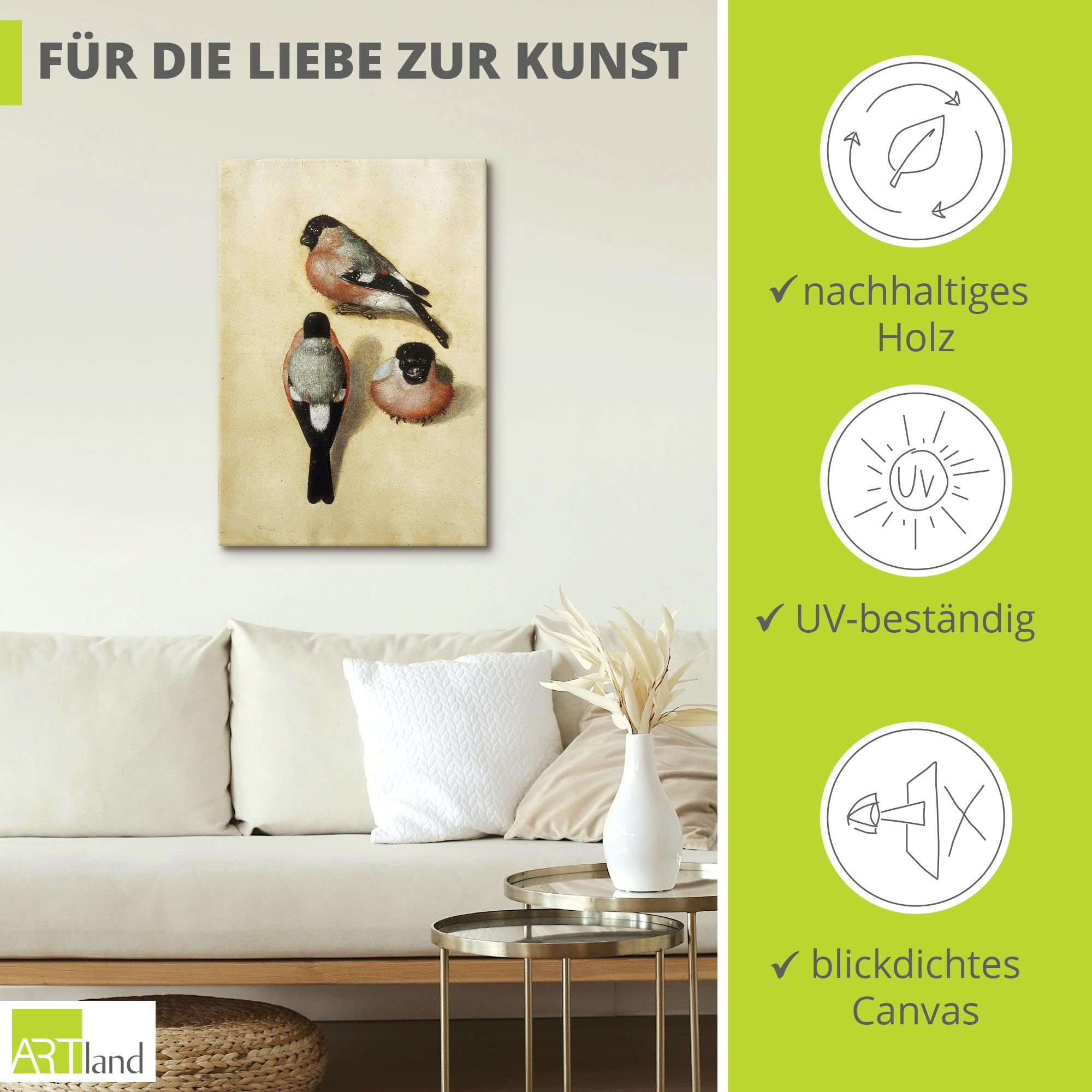 artland-leinwandbilder-gimpel-vogel-leinwandbild-70x50-cm image 2