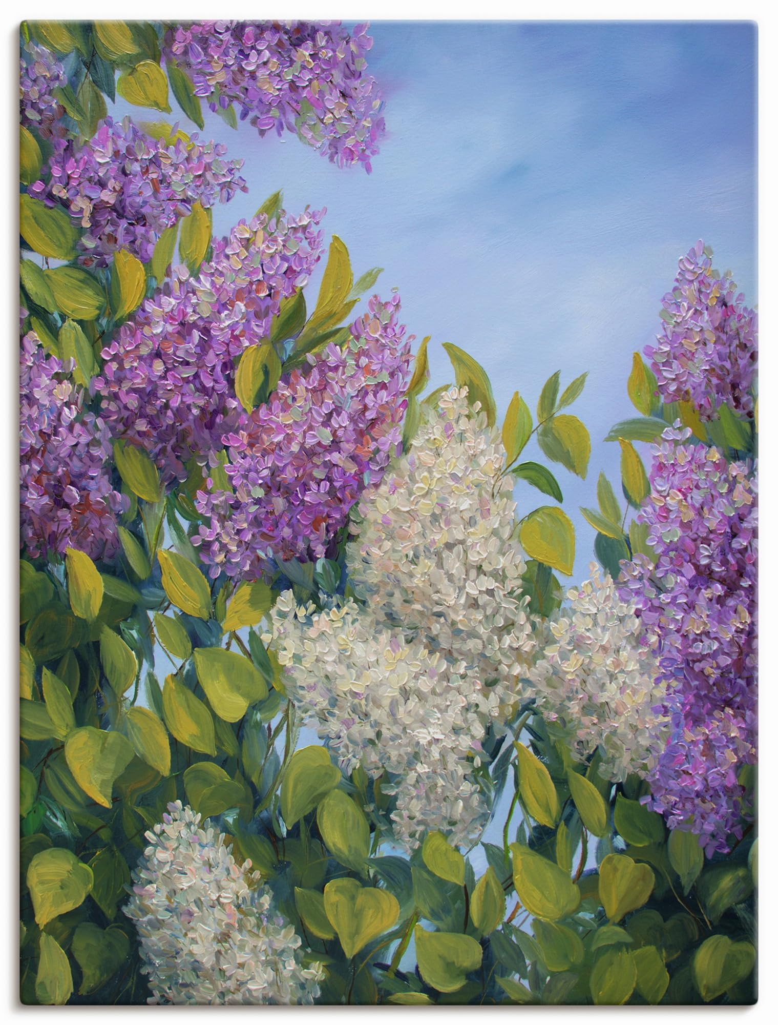 artland-leinwandbilder-flieder-leinwandbild-60x40-cm image 5