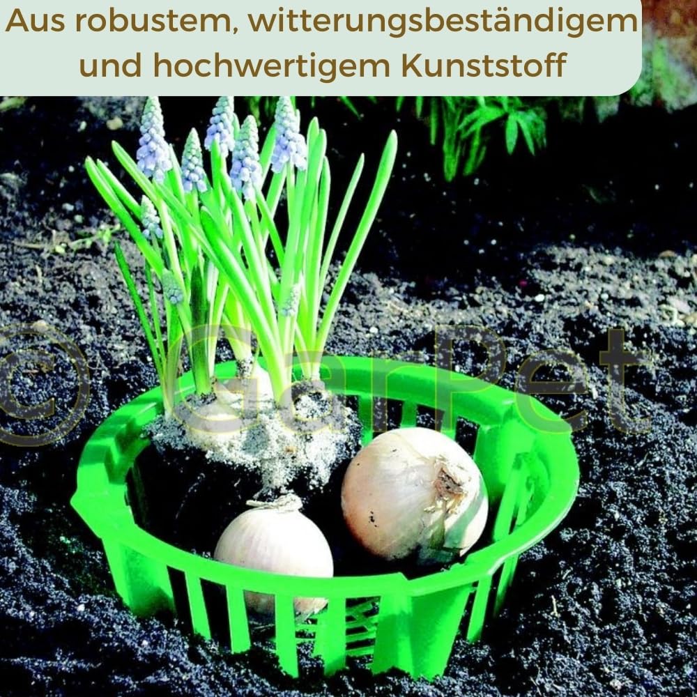 garpet-garten-pflanzkorb-blumenzwiebeln-22-cm-3-st-schutz image 4