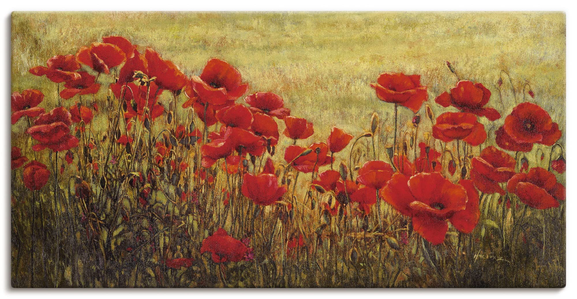 artland-leinwandbilder-mohnblumenwiese-60x30-cm-rot image 1