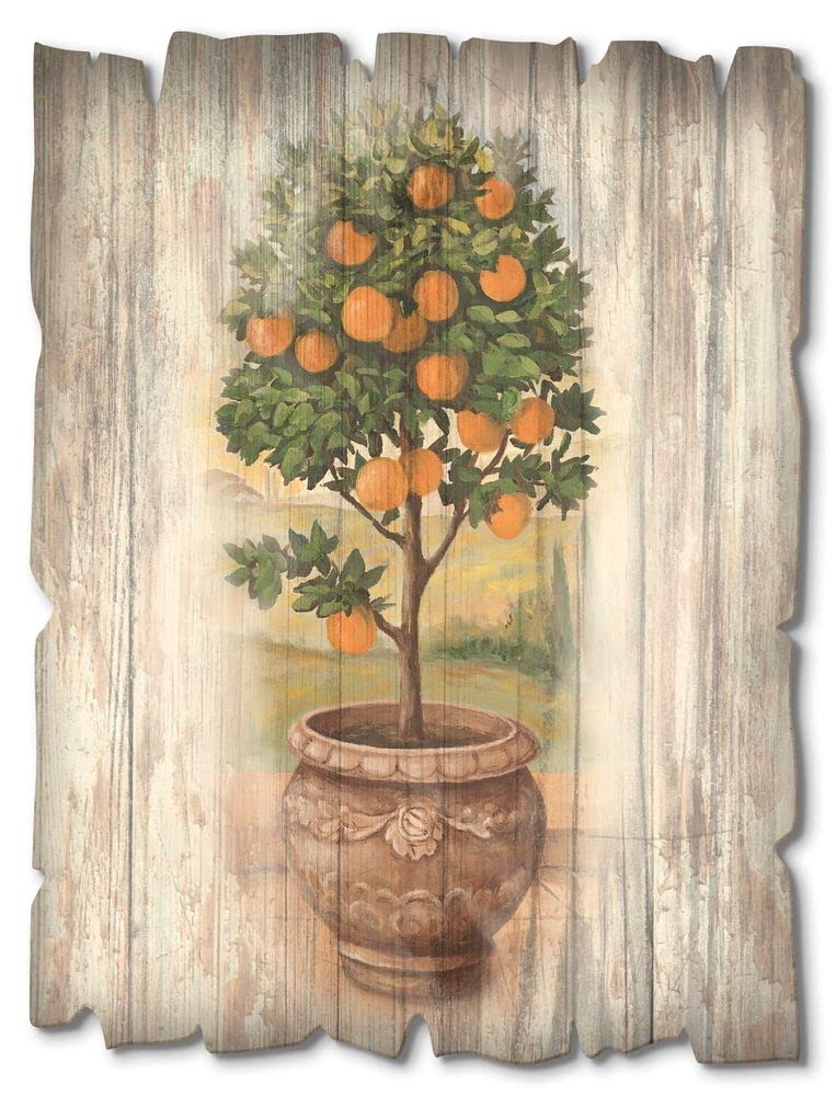 artland-holzbilder-olivenbaum-holzbild-30x40-cm-vintage-toskana image 6
