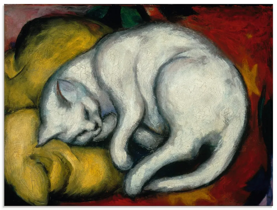 artland-glasbilder-t7su-bild-weisse-katze-60x45cm image 1