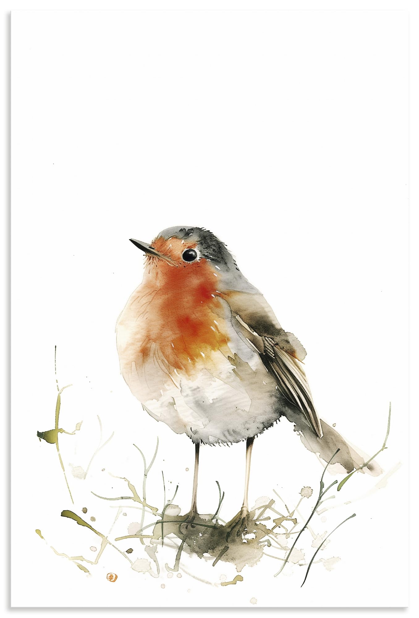 artland-alubilder-rotkehlchen-alubild-40x60-cm-wetterfest image 1