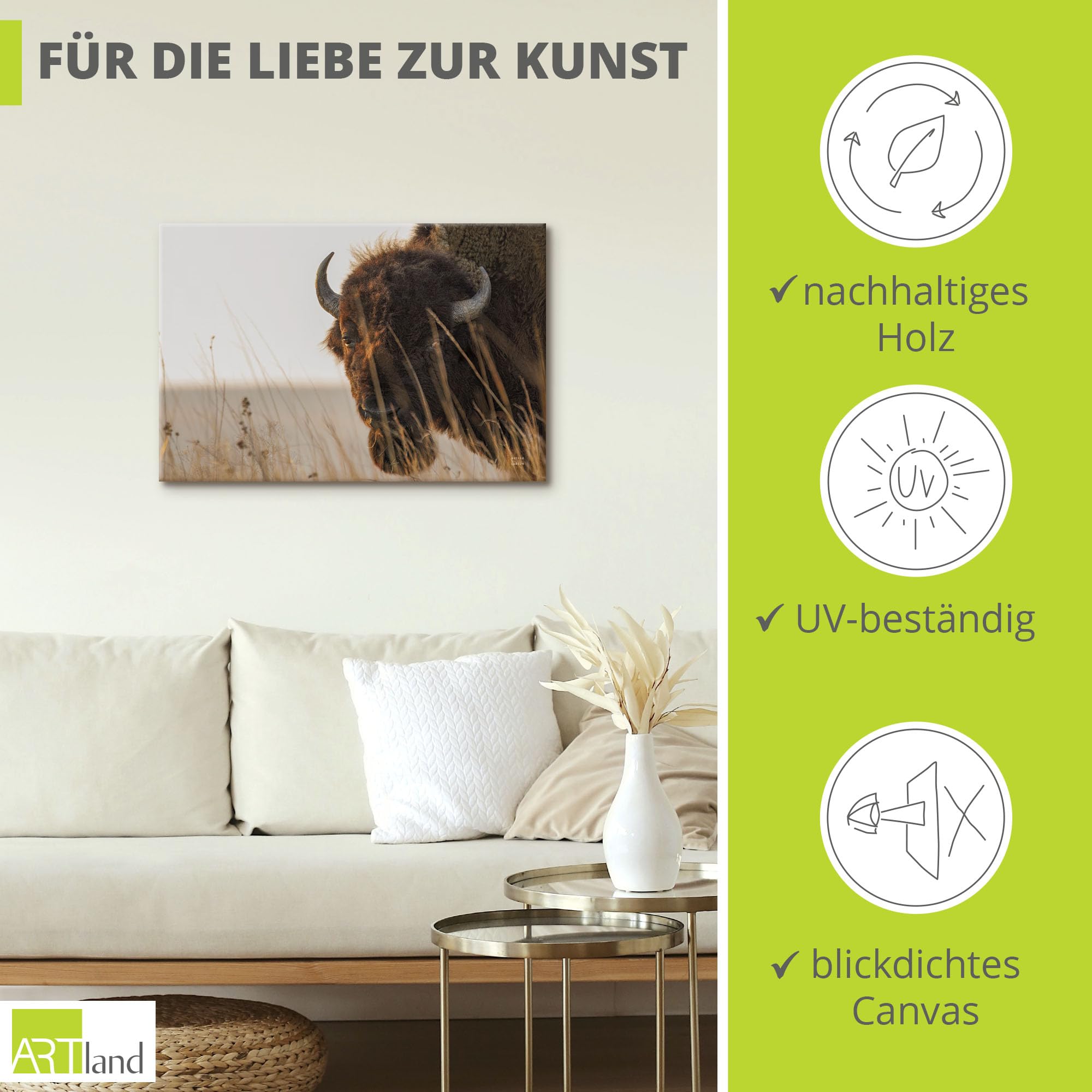 artland-leinwandbilder-bison-meditation-leinwandbild-30-x-30-cm image 2