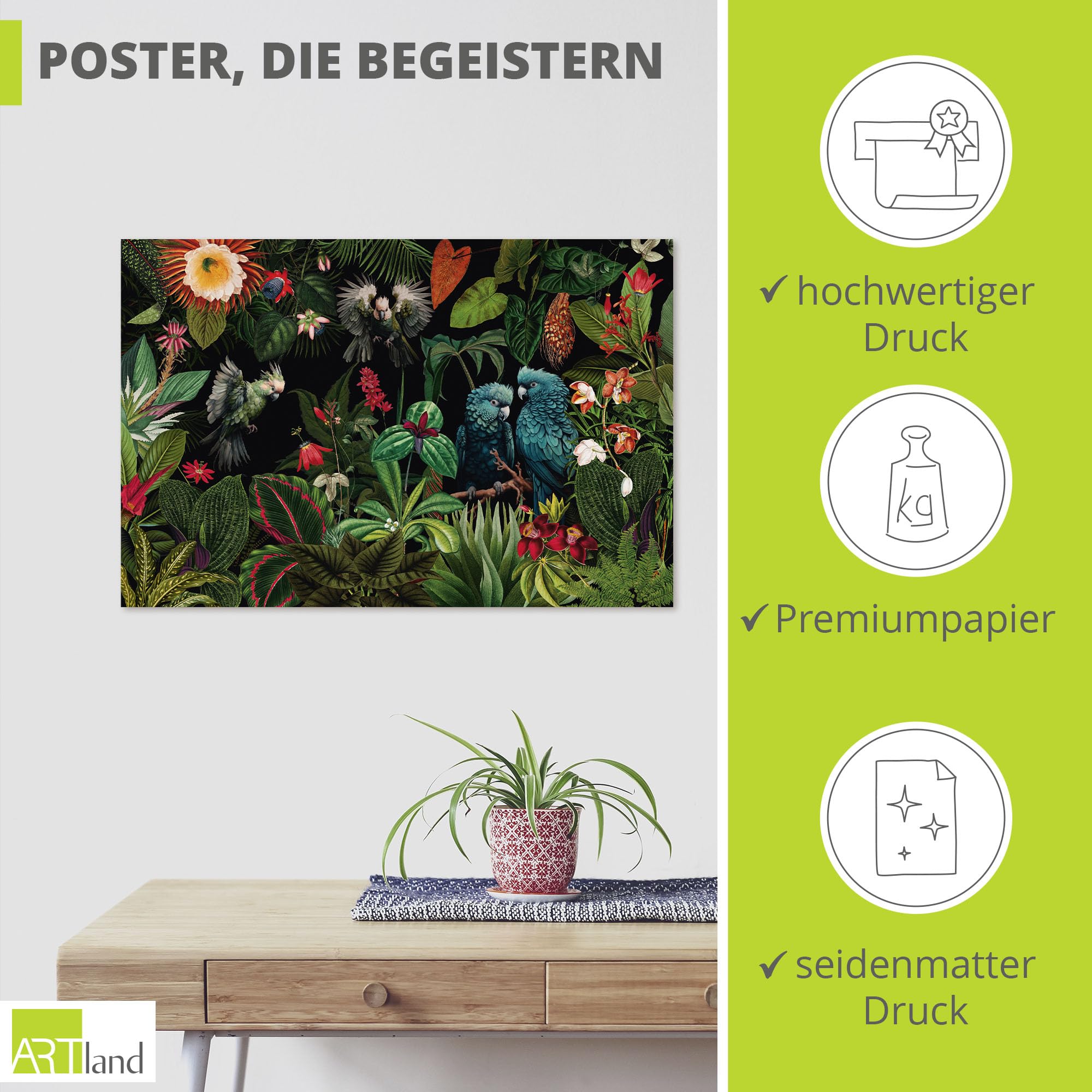artland-kunstdrucke-u5hd-poster-dschungel-nacht-30x20-cm image 2