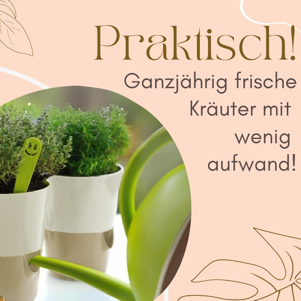 garpet-garten-kr-utertopf-selbstbew-ssernd-4er-set-11cm-elfenbein image 5