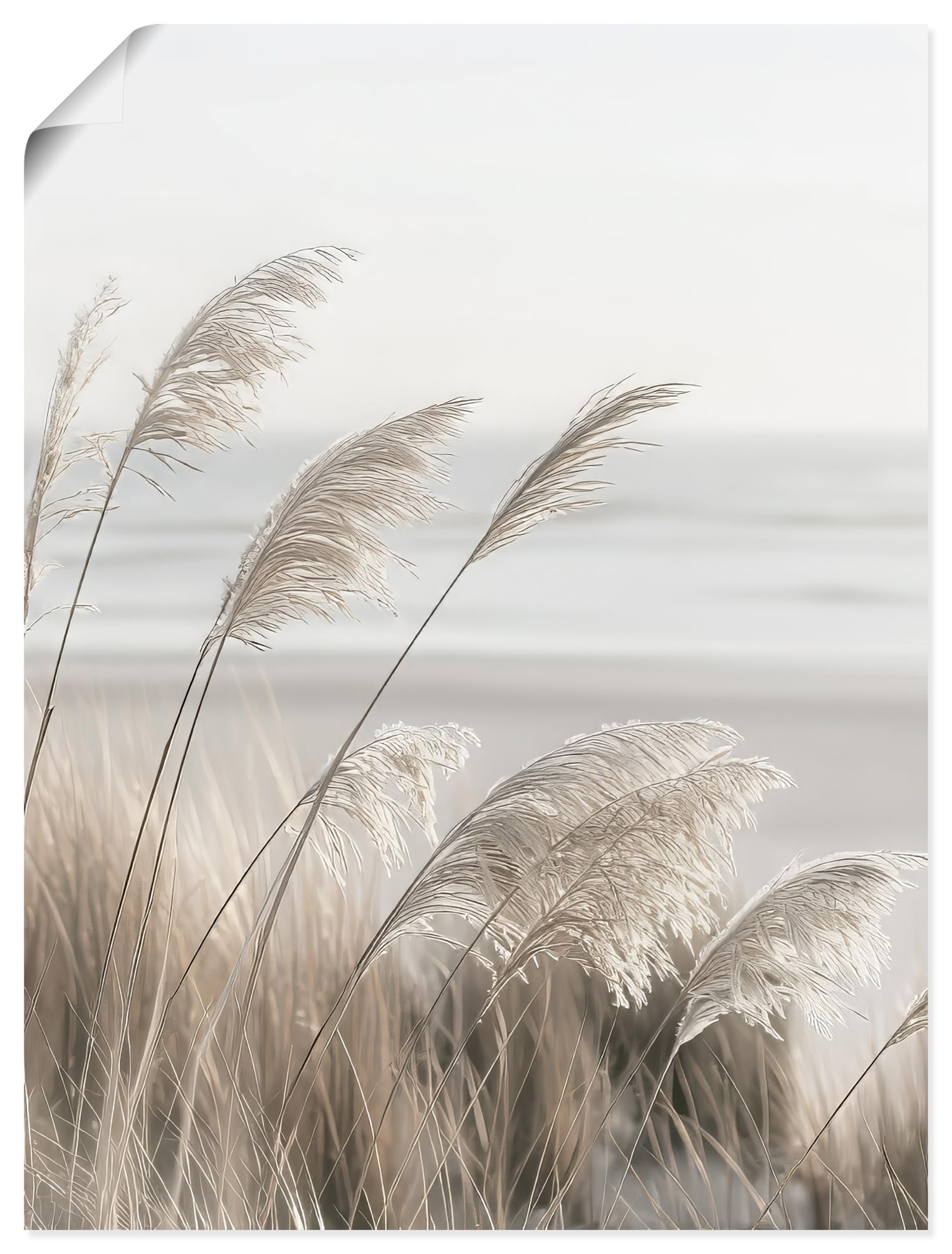 artland-kunstdruck-poster-60x40-wollgras-2-natur-querformat image 3