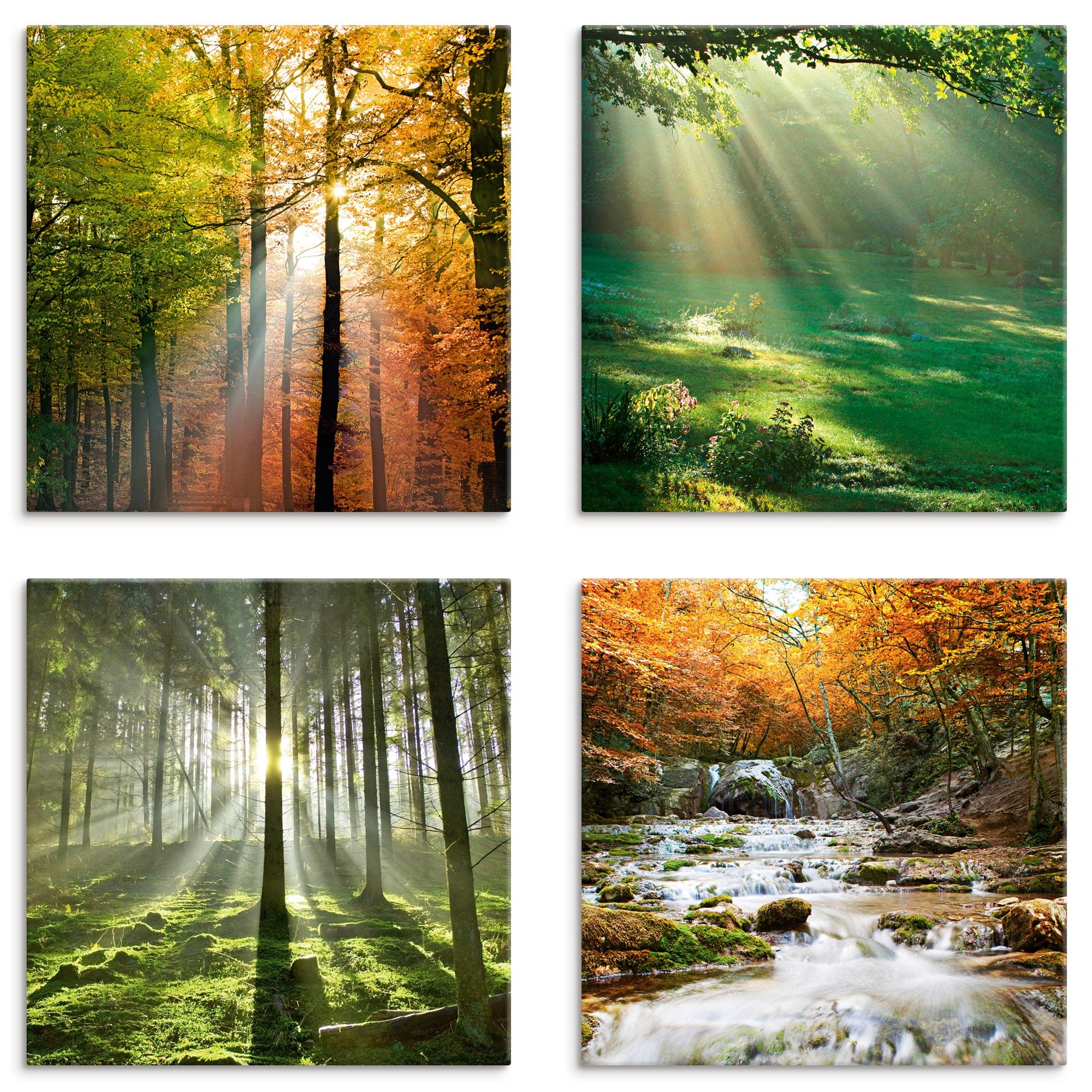 artland-leinwandbilder-k2fr-set-4x40x40-cm-wald-bach-h image 8