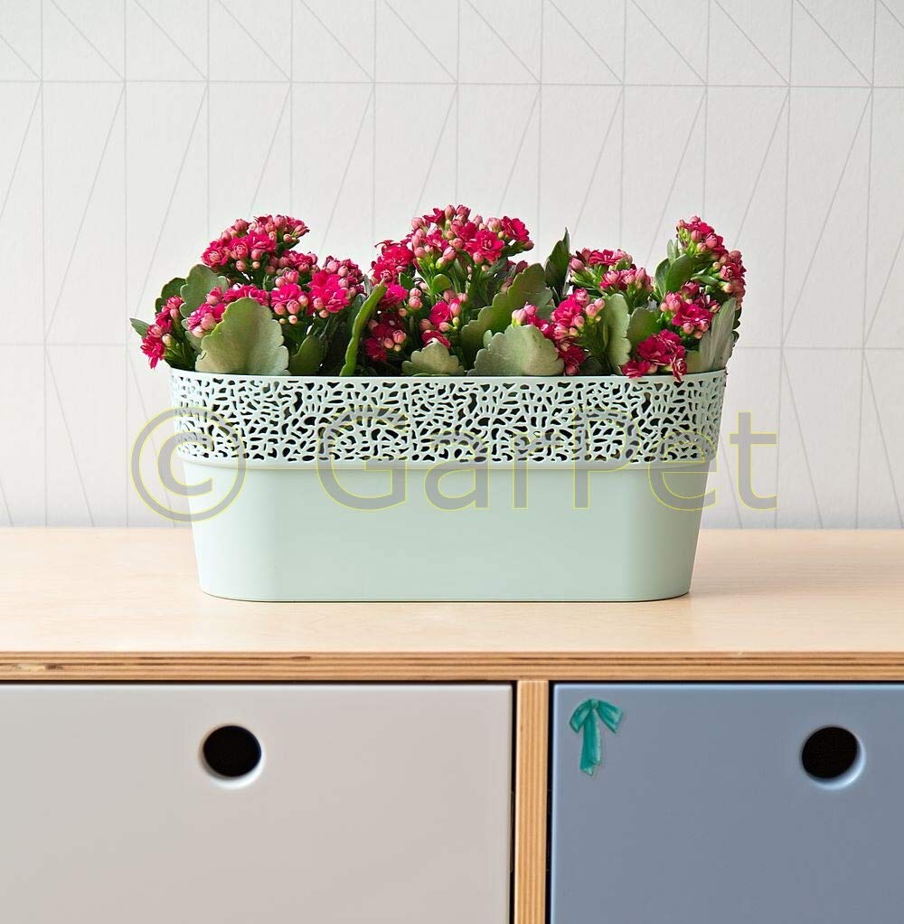 garpet-garten-bertopf-380-oval-blumentopf-38-cm-minze image 2