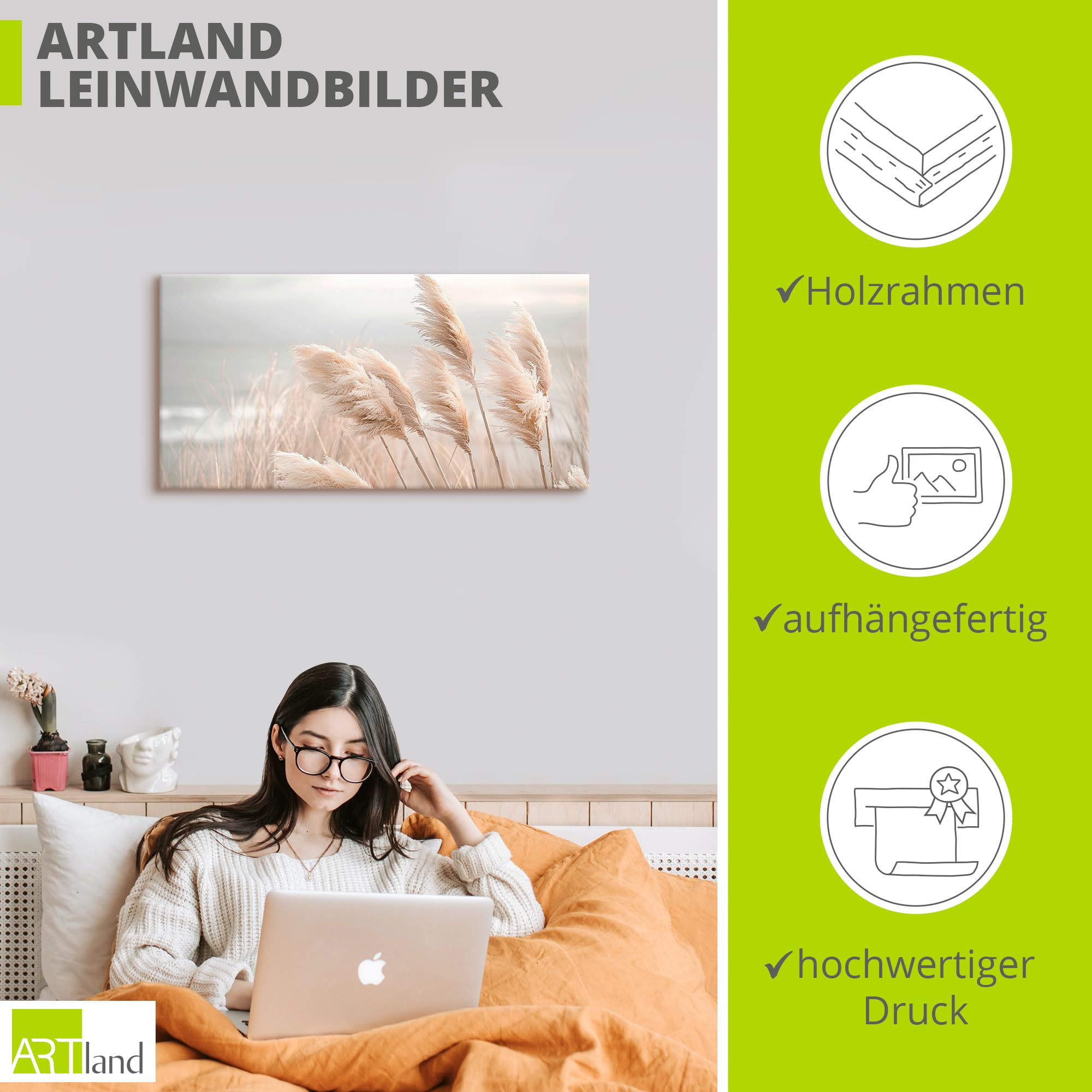 artland-leinwandbilder-pampasgras-leinwand-60x30-cm-boho image 3