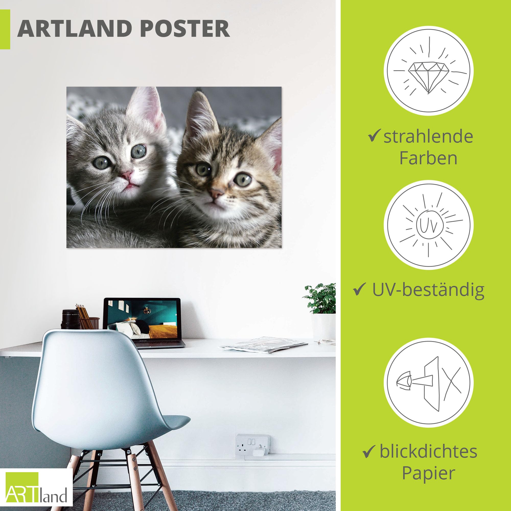 artland-kitten-poster-80x60-cm-katzenbaby image 3
