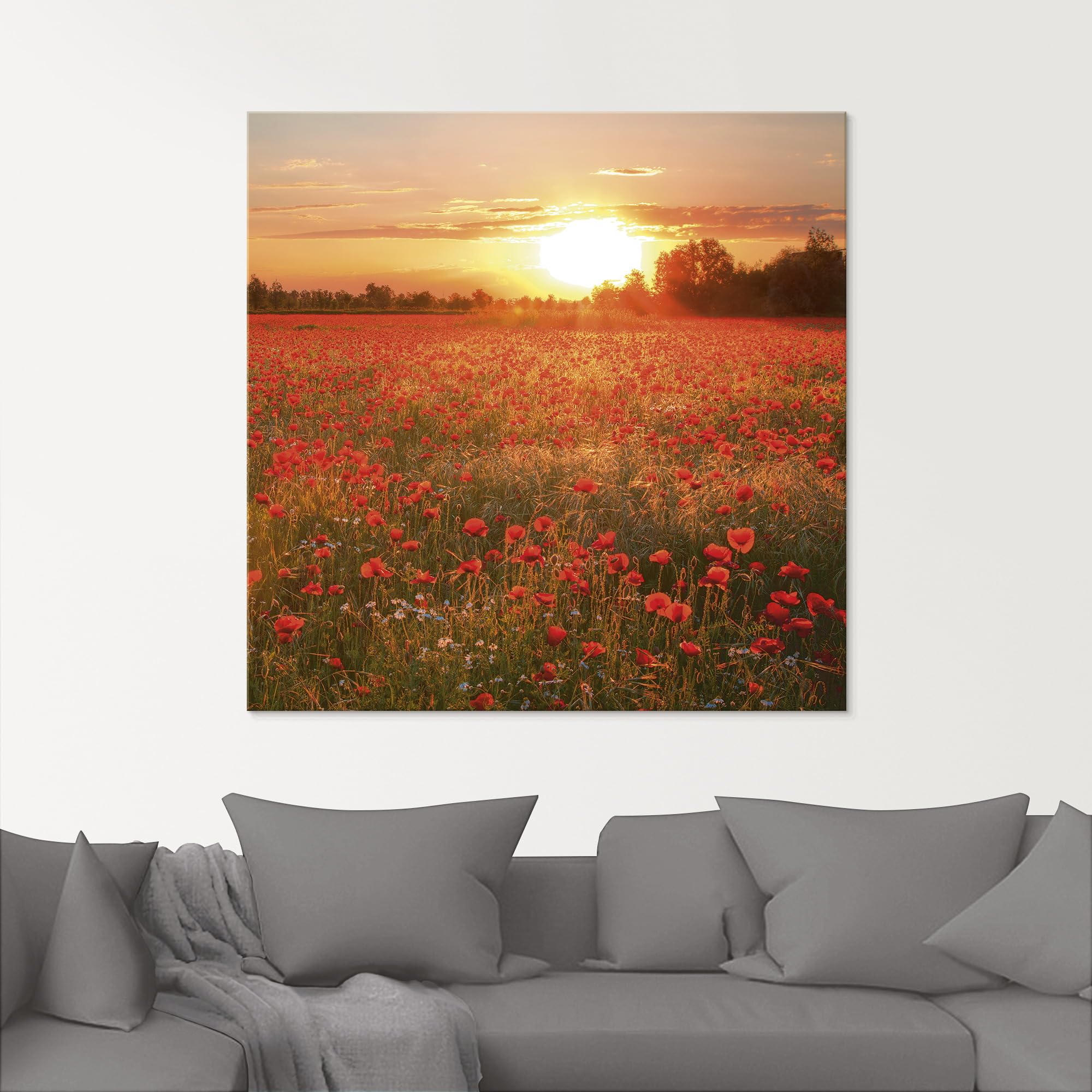 artland-glasbilder-s6am-glasbild-mohnblumenfeld-125x50-cm image 8