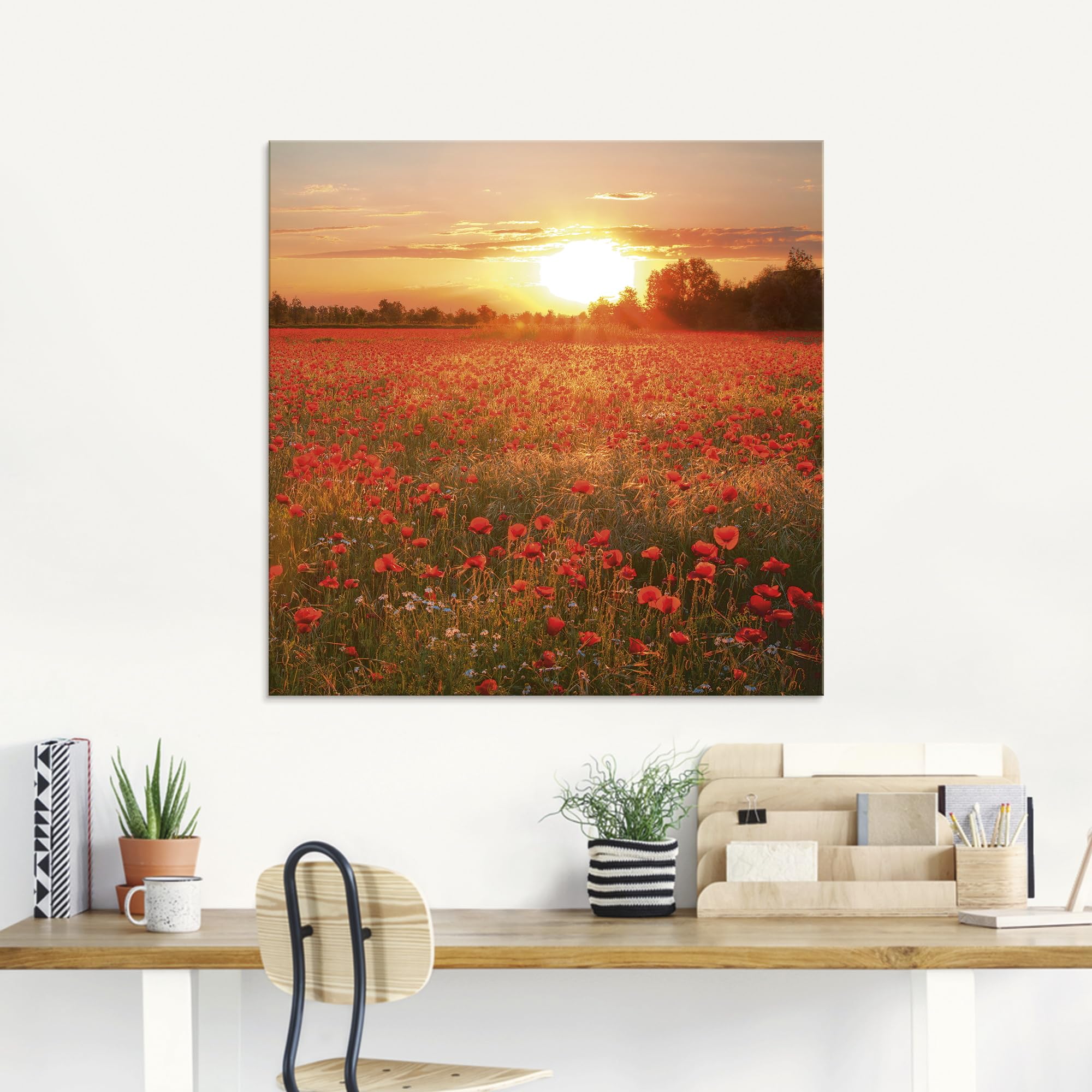 artland-glasbilder-s6am-glasbild-mohnblumenfeld-125x50-cm image 7